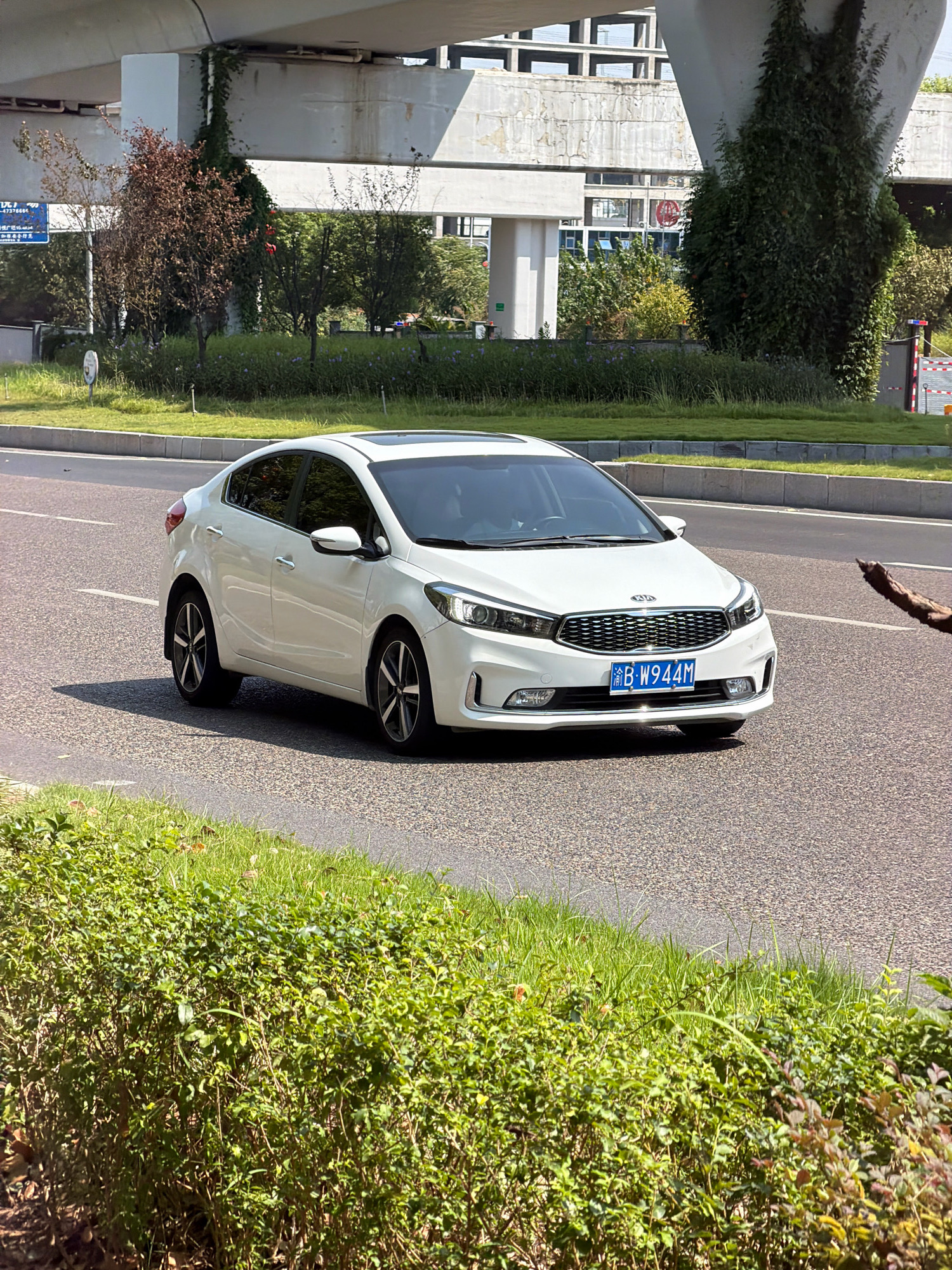 In the city of Jiangjin, China, a white Kia sedan, license plate 渝B W944M, is captured in motion on a paved road. The car is positioned in the right lane, its front facing towards the viewer. Lush green bushes line the lower edge of the frame, with a patch of grass and a concrete barrier separating the road from the foliage. Above the road, a large overpass structure looms, with concrete pillars supporting it. Greenery, including trees and ivy, is visible growing on and around the overpass supports. In the background, buildings and more vegetation are discernible. The sky is bright and clear, indicating daytime.