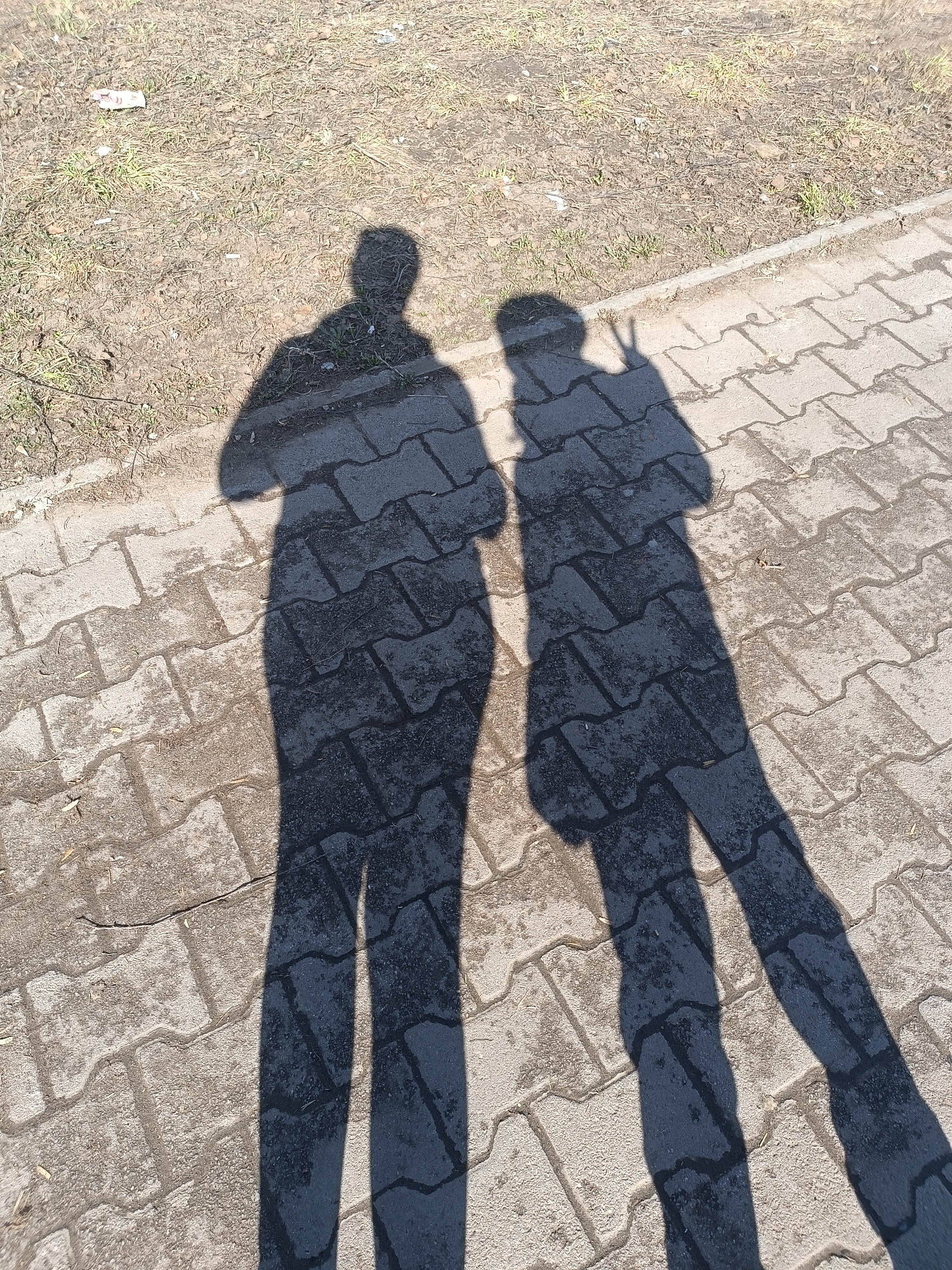 The image displays two human-shaped shadows cast on a paved surface and an adjacent patch of ground, located in the city of Chaikovsky, Russia. The paved area consists of interlocking grey concrete pavers, showing some wear and moisture patterns. To the left of the paved area, a concrete curb separates it from an unpaved strip of ground. This ground features dry soil, sparse brown and green grass, and scattered debris including small pieces of litter and cigarette butts.
Two distinct, elongated shadows of individuals are visible. The shadow on the left stands with arms down. The shadow on the right has an arm raised, forming a clear 'V' gesture, commonly known as a peace or victory sign. The lighting suggests direct sunlight from behind the subjects, casting long, dark shadows forward onto the ground.