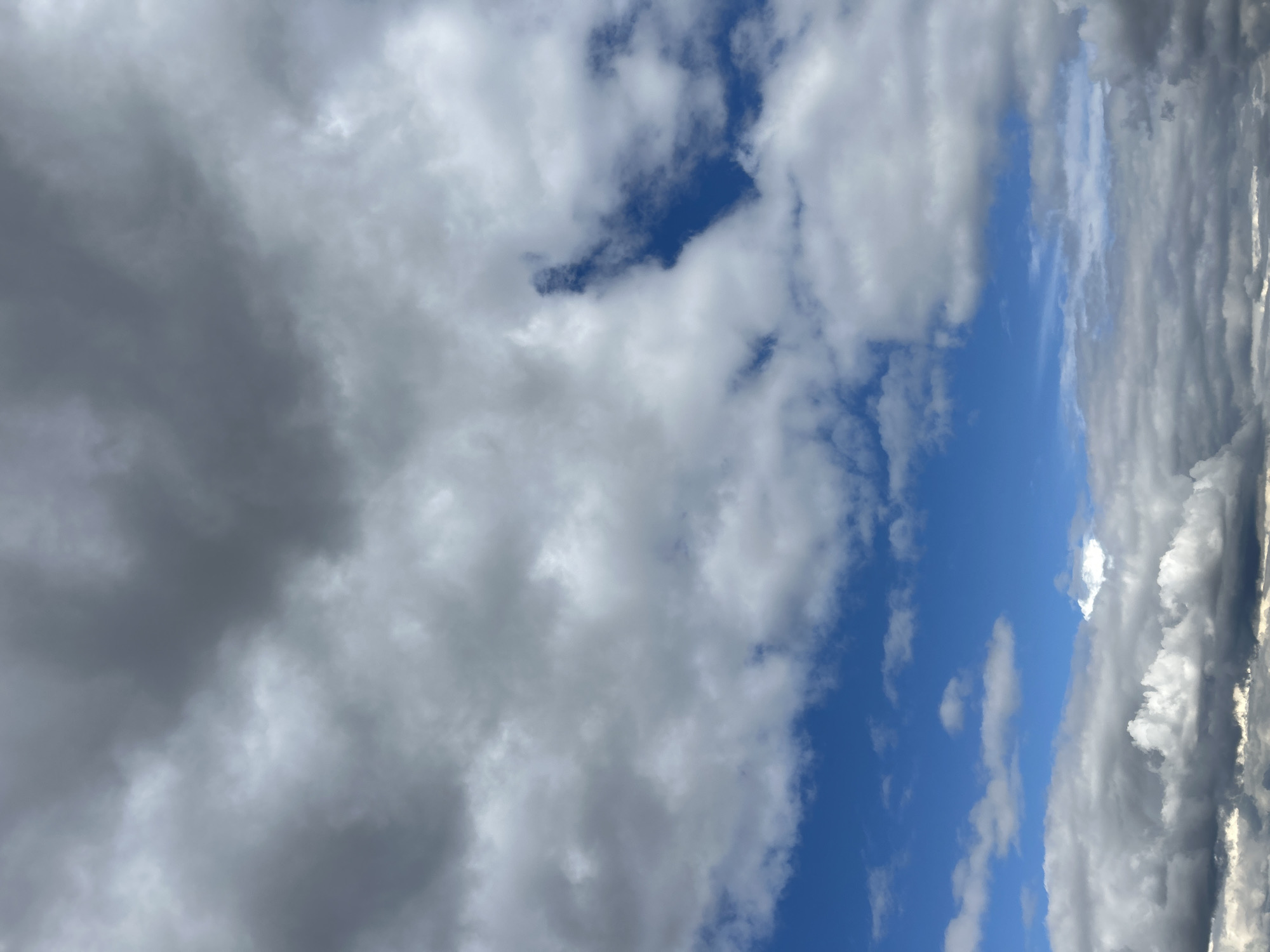 The image shows a view of the sky with a mix of dark gray and white clouds. There are patches of blue sky visible between the clouds. The orientation of the image is unusual, as the "sky" appears on its side. Without further context, it is not possible to determine if the image was taken in Sofia, Bulgaria.