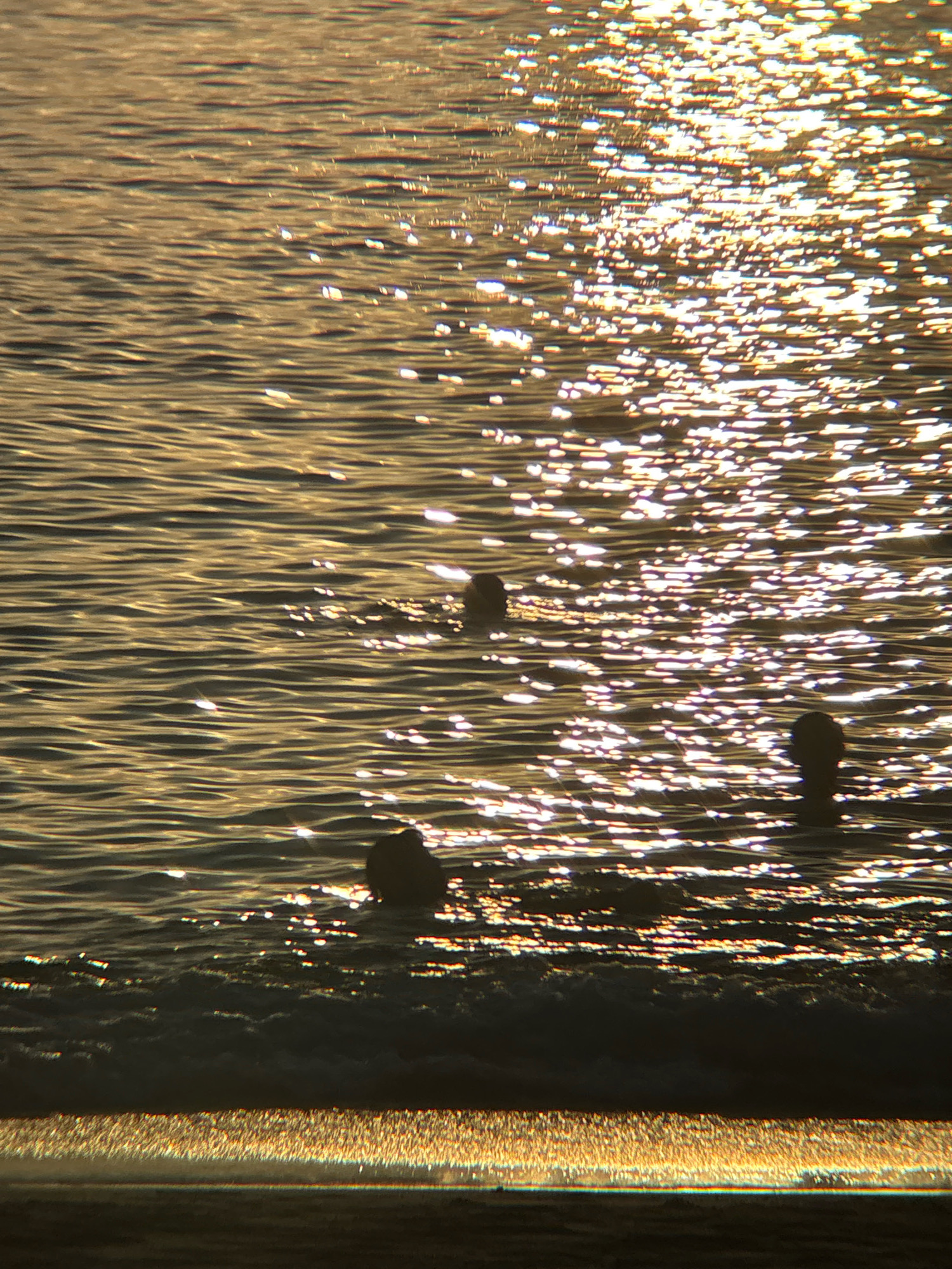 The image depicts a body of water, likely the ocean, with sunlight reflecting off its surface, creating a shimmering effect. In the foreground, a sandy beach is visible, also reflecting the light. Several dark, silhouetted shapes, which appear to be human heads, are partially submerged in the water, suggesting people are swimming or wading. The overall lighting suggests it is either sunrise or sunset. Given the context of Nha Trang, Vietnam, this scene is likely located along the city's prominent coastline, such as Tran Phu Beach.