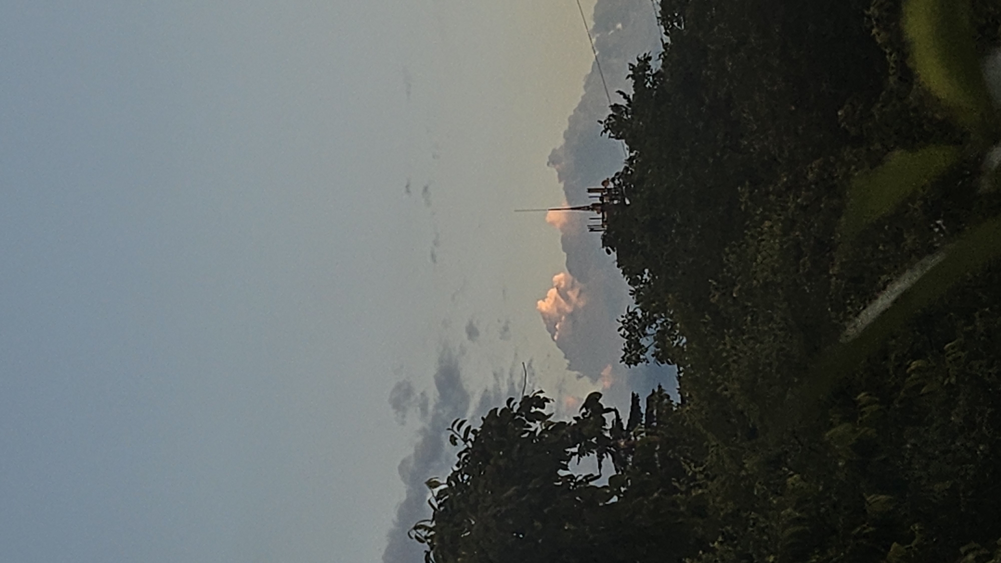 This is a vertical, outdoor, medium-shot photograph of a treeline against a sky with clouds and a cell tower. On the left, dark green foliage fills the bottom left corner and extends up the left side of the image. The foliage is dense and appears to be in focus. Behind the foliage, in the center of the image, is a group of puffy, light-pink clouds. A cell tower, topped with a thin spire, rises above the treeline in the center-right of the image, directly in front of the clouds. The sky is a pale, clear blue at the top, gradually transitioning to a lighter shade near the horizon. Scattered dark clouds are visible in the upper portion of the sky, behind the pink clouds. The lighting suggests it may be late afternoon or early evening, with the sun's rays illuminating the clouds. The background is out of focus and indistinct, contributing to the emphasis on the treeline, clouds, and cell tower.