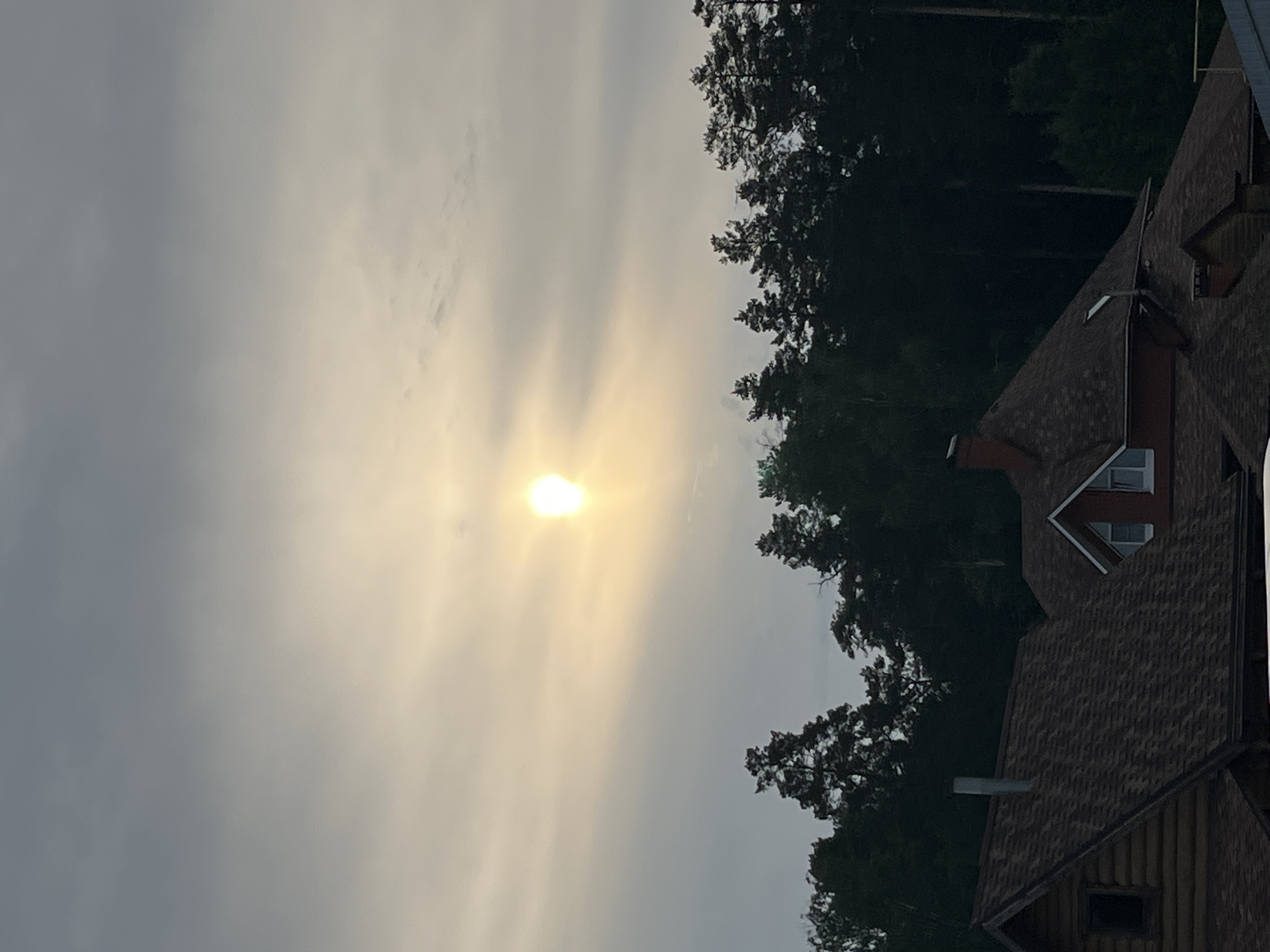 The image, taken in Chaikovsky, Russia, presents an outdoor scene featuring an overcast sky with striking sunlight and residential architecture alongside dense foliage. The left side of the frame is dominated by a cloudy sky, where a brilliant, concentrated burst of sunlight, appearing as a bright white-yellow orb, pierces through the clouds. This creates distinct sunbeams or crepuscular rays radiating outwards from the sun. The clouds range from a luminous, lighter gray near the sun to a darker, more muted gray across the rest of the sky.
On the right side, a vertical expanse of dark green, densely packed trees, likely a coniferous forest, creates a strong contrast against the bright sky. Nestled within and beneath these trees are parts of two residential buildings. These structures feature dark, possibly reddish-brown, shingled roofs with visible gables and windows. One house also shows a chimney and what appears to be wooden siding.
The scene suggests a daytime setting, likely late morning or afternoon, characterized by partly cloudy weather with the sun intermittently breaking through. There are no people visible, nor is there any discernible text within the image, contributing to a serene and natural landscape.
