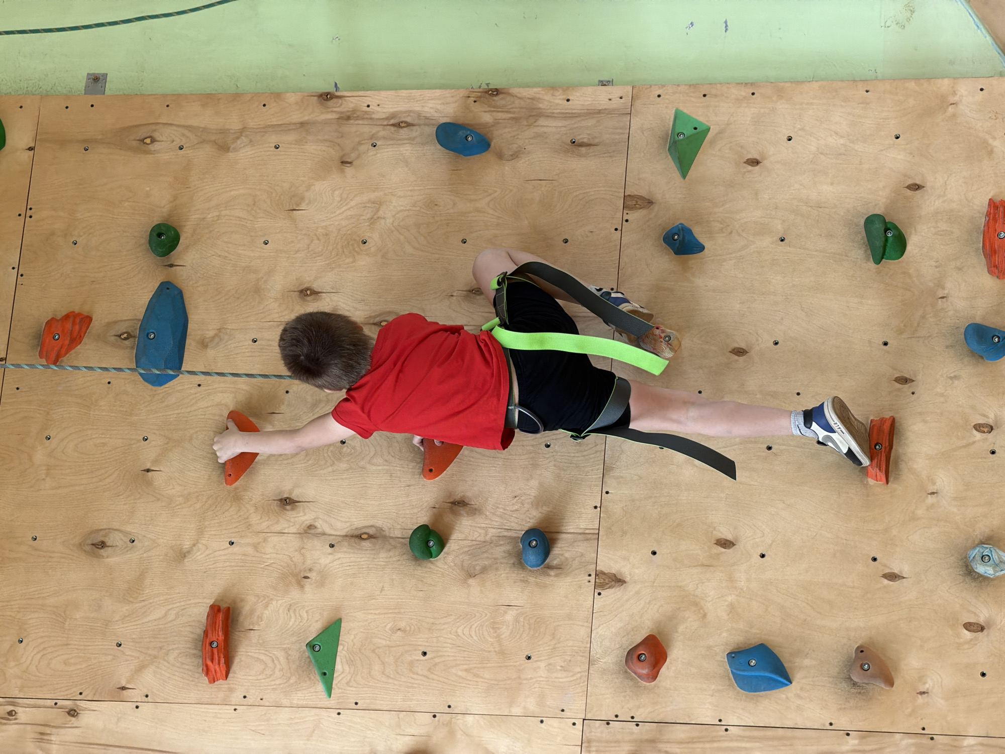 A boy in a red shirt, black shorts, and climbing shoes is climbing a rock wall. He is wearing a harness with a green and black strap. The wall is made of light wood with various colored climbing holds attached. The background consists of the wall and a green section at the top of the wall. There are small holes in the wooden wall. The boy is suspended horizontally, reaching for a climbing hold. The boy is indoors. The image does not include information about the location in the city of Izhevsk, Russia.