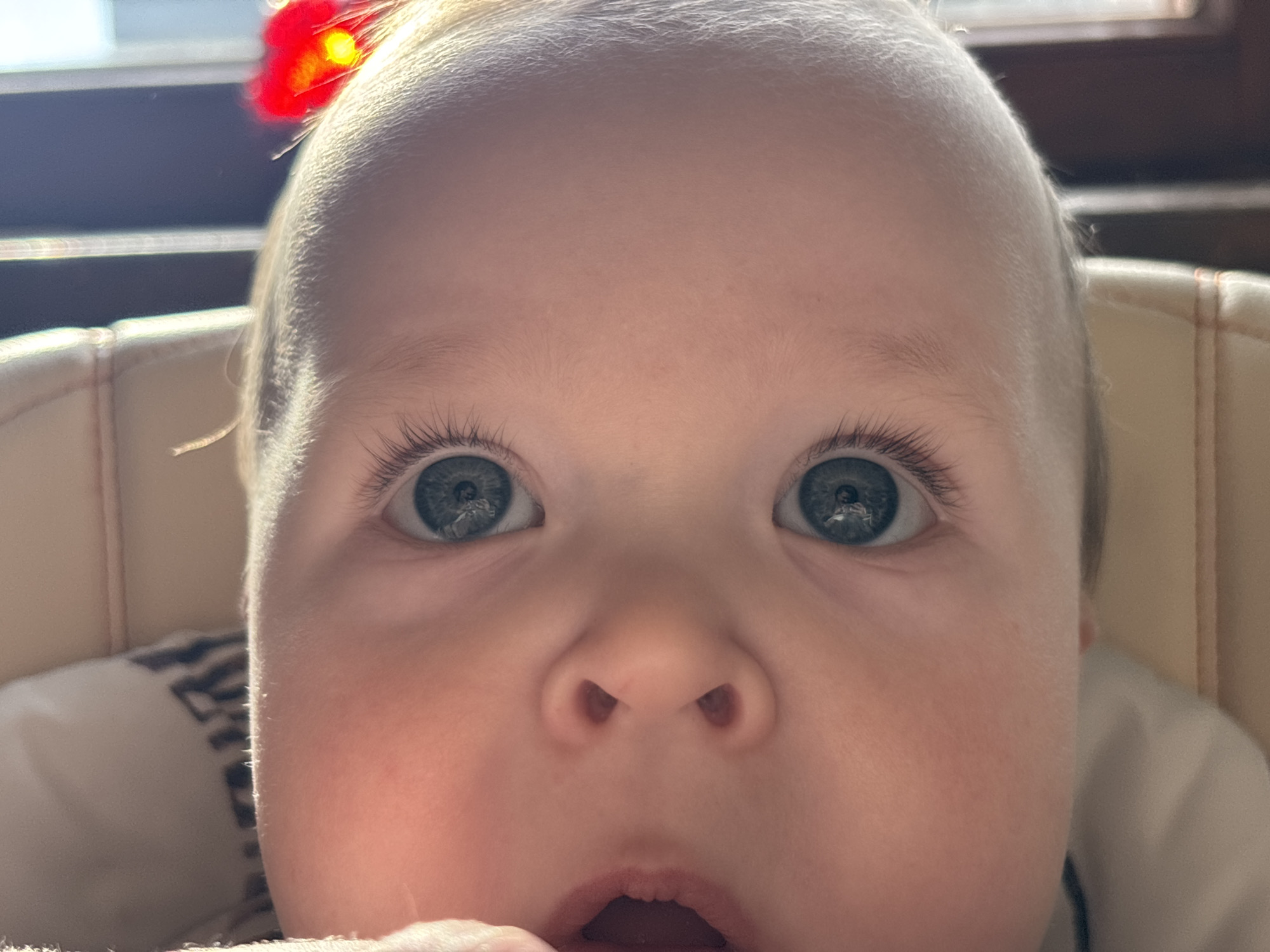 A close-up, front-facing portrait captures the face of a baby in an indoor setting. The baby has fair skin, wide-open blue-grey eyes, and fine, light-colored hair. A small, bright red, fluffy or feathery object, possibly a decorative hair clip or bow, is visible on the top left side of the baby's head.
The baby's gaze is directed straight at the viewer, suggesting engagement with the camera. Notable details include distinct, long eyelashes and dilated pupils. Reflections within the pupils clearly show an adult figure holding a smartphone or camera, indicating the baby is being photographed. The baby's mouth is slightly open, revealing the lower lip, and the nostrils are visible. The forehead appears smooth, with soft, fine baby hair along the hairline.
Bright, natural light illuminates the scene, suggesting it is daytime and possibly near a window, as hinted by the bright background on the left side of the image. The baby appears to be seated in a padded chair or high chair, identifiable by the beige or cream-colored upholstered backrest with stitching visible behind the baby on the right. A blurred pattern on white fabric, possibly clothing or a blanket, is seen on the baby's left shoulder. The overall impression is one of curiosity and direct interaction. No visible text is present in the image.