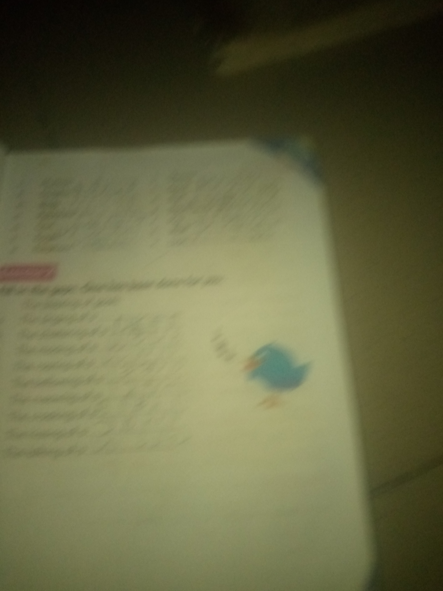 The image displays a book opened to a page with text and an illustration of a blue bird. The text appears to be in a list format and is largely illegible due to blurriness. The illustration of the bird is also somewhat out of focus. The background is dark, suggesting a low-light environment. The image's context in Jauro Yinu, Nigeria, is not visually represented or inferable from the provided image.
