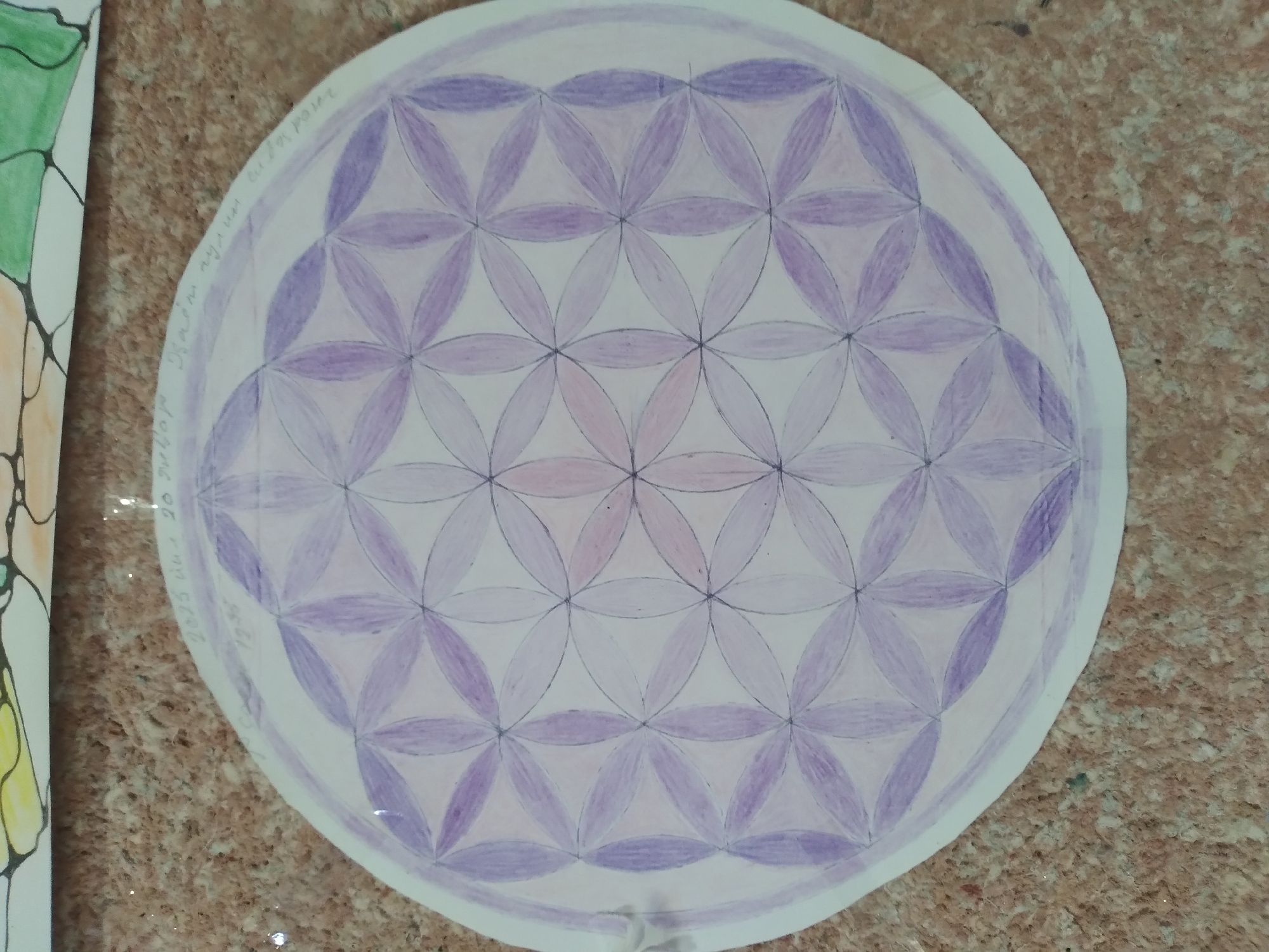 The image displays a close-up, overhead view of a circular drawing, likely the "Flower of Life" symbol, rendered in pastel shades of purple and pink. The drawing is on white paper and appears to be hand-drawn with colored pencils. Faint handwritten text is visible around the perimeter of the circle, partially obscured by the drawing itself. The background consists of a speckled, textured surface, possibly a table or floor. The upper portion of the image shows a sliver of another drawing, featuring yellow and green shapes. The image is well-lit, with no discernible shadows indicating the direction of light. There are no people or animals visible. The overall impression is that of an artistic creation displayed in an indoor setting. The phrase "Baki, Uzbekistan" does not appear in the image and cannot be inferred from its content.