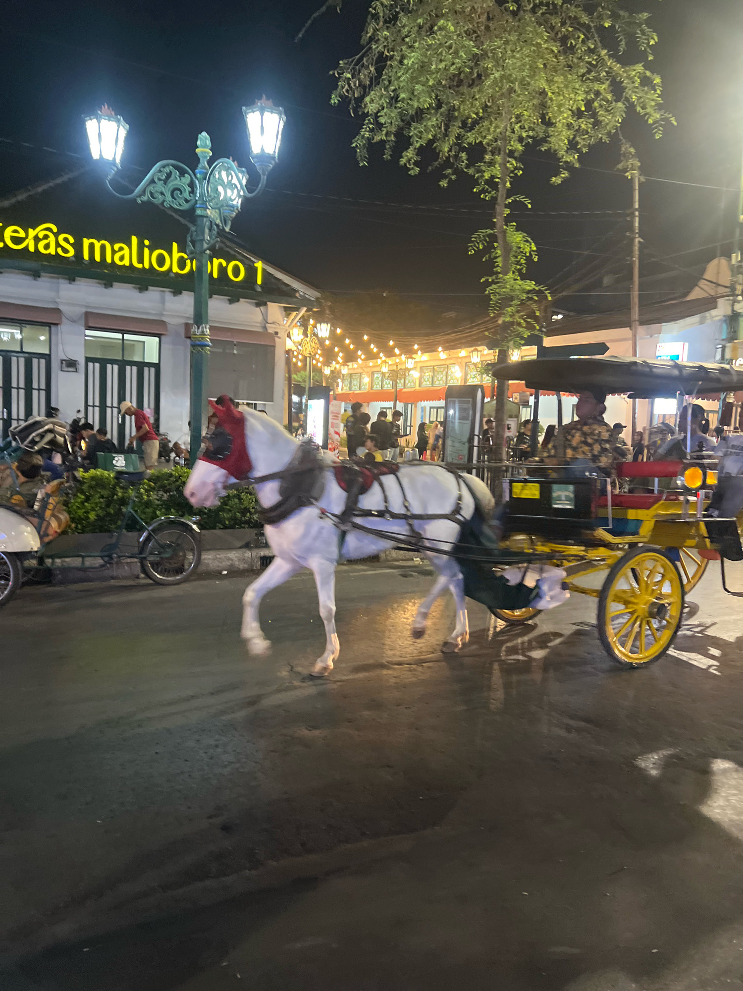 In the city of Yogyakarta, Indonesia, a white horse pulls a colorful carriage at night. The horse, wearing a red and white decorative halter, is in motion, its front legs mid-stride, and its hind legs are a blur. The carriage is yellow with red and blue seating and yellow spoked wheels. A person with short, dark hair wearing a patterned shirt is seated in the carriage, seemingly operating it. In the background, there are streetlights and strung lights illuminating the scene, along with buildings and other pedestrians. The ground appears wet and reflective, indicating it might have rained recently. A sign with yellow lettering on a green awning reads "Teras Malioboro 1".