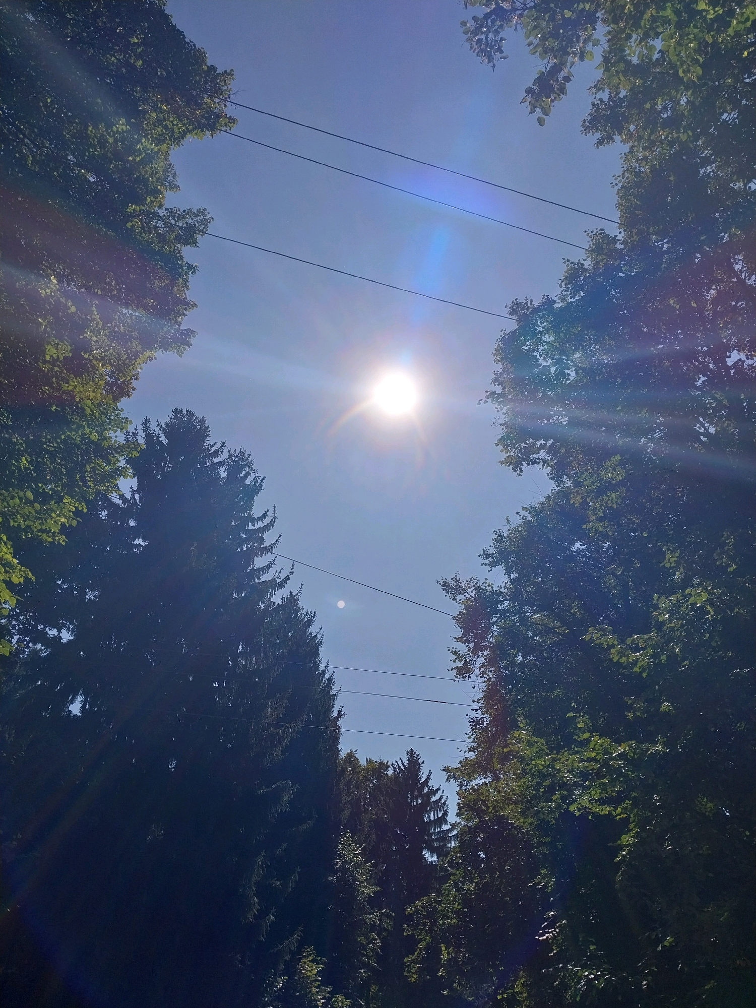 The image captures a view of the sky through the canopy of trees, with power lines strung horizontally across the frame. The sun is prominently positioned in the upper center, emitting bright rays and lens flare. Lush green foliage from deciduous trees frames the top and sides of the image, while a tall, dark green coniferous tree is visible on the left. The sky is a clear, bright blue. The setting appears to be a natural or park-like area within the city of Doslidne, Ukraine, suggested by the presence of both residential-looking trees and overhead power lines. No people or animals are visible.