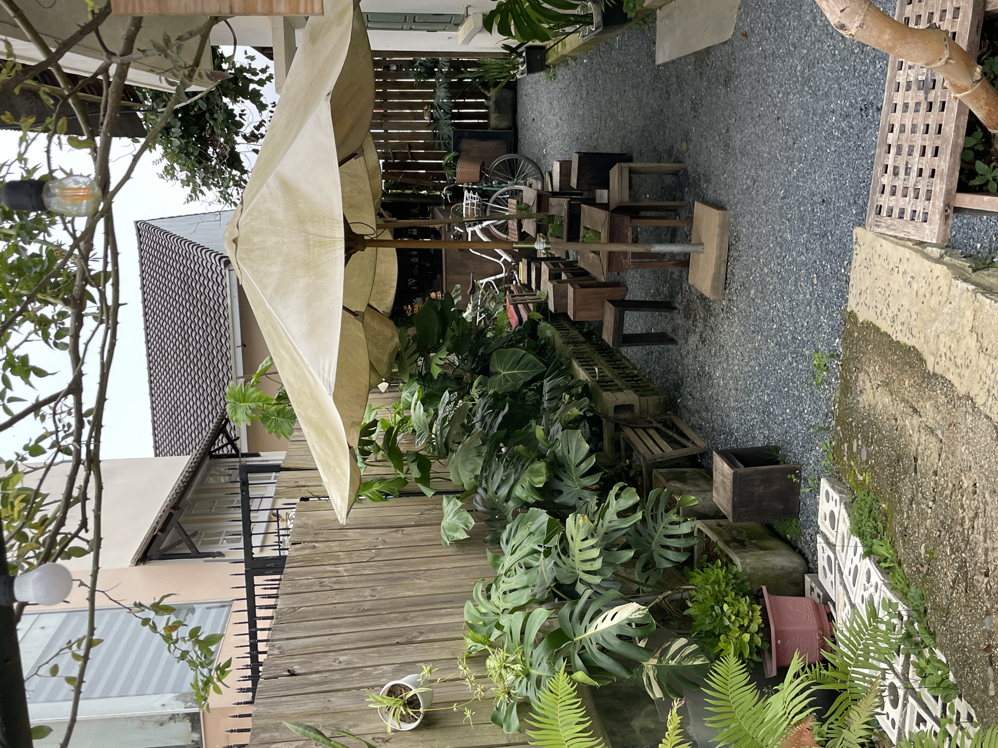 The image captures an outdoor seating area in what appears to be a cafe or restaurant setting in Lâm Viên, Đà Lạt, Vietnam. The scene is dominated by lush green plants, including large monstera leaves and ferns, arranged on a wooden deck and along the gravel ground. A large, pale yellow umbrella provides shade over a seating arrangement.
The seating consists of several low, wooden stools and small tables, some of which are integrated into planter boxes. In the background, a vintage bicycle with a wicker basket is parked, adding a rustic charm to the setting. Wooden fencing and walls made of concrete blocks with decorative cutouts form the boundaries of the space. A rustic wooden bench with a slatted seat is also visible.
The lighting suggests it is daytime, possibly overcast, as there are no harsh shadows. The overall atmosphere is tranquil and inviting, emphasizing a connection with nature. The style of the seating and the abundant greenery point towards a relaxed, bohemian, or garden-themed establishment. No visible text is present in the image.