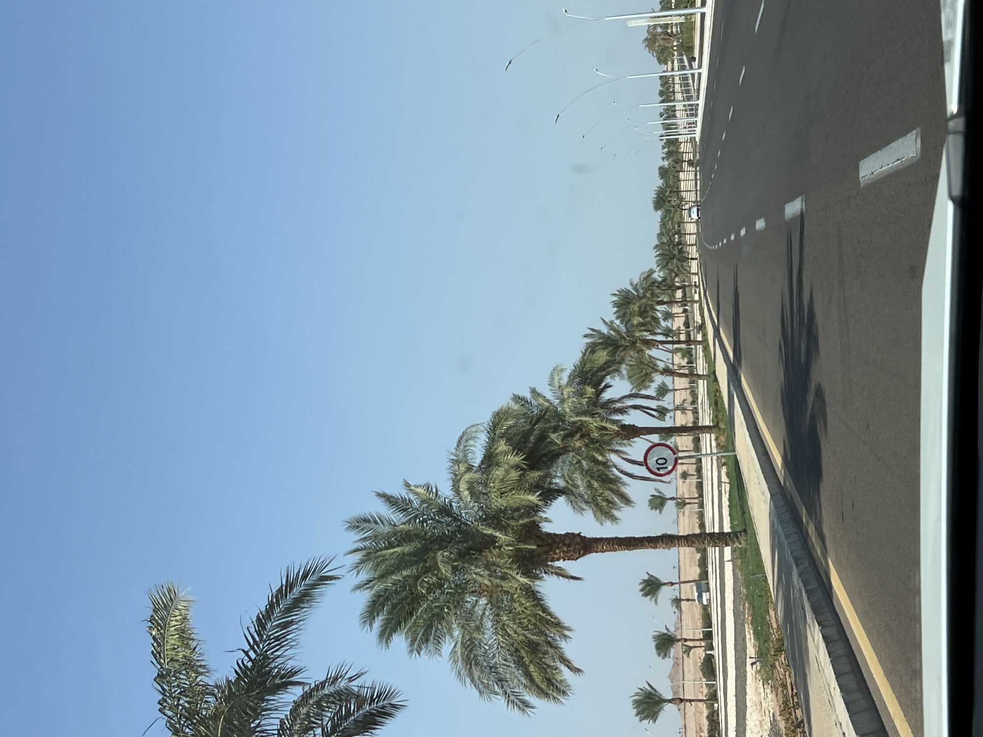 The image depicts a road lined with palm trees under a clear blue sky, characteristic of a sunny day in Sharm El Sheikh, Egypt. A multi-lane asphalt road curves to the right, with white dashed lines marking the lanes. On the left side of the road, there is a sidewalk and an undeveloped area with sparse vegetation and sandy soil. A speed limit sign indicating "10" is visible near the sidewalk. Several lampposts are visible along the right side of the road, suggesting it is a well-developed area. The presence of palm trees and the bright, clear sky are indicative of a warm climate, consistent with Sharm El Sheikh. There are no people visible in the image, and the focus is on the infrastructure and natural elements of the environment. The perspective suggests the photo was taken from a moving vehicle.