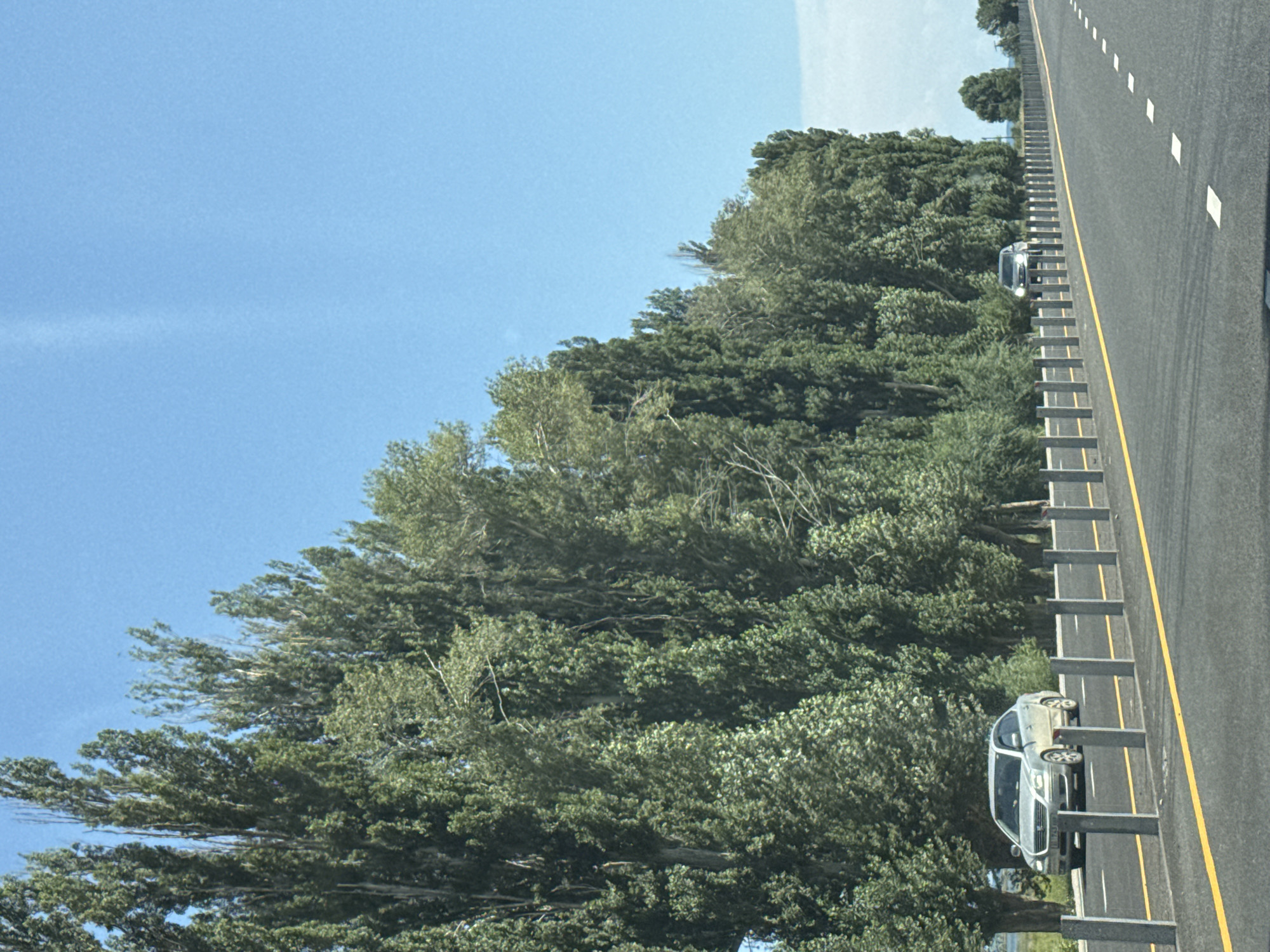 The image shows a highway lined with tall trees. A silver sedan is driving on the highway, and a dark-colored vehicle is visible in the distance. The sky is clear and blue. The scene appears to be in a rural area outside of a city, likely in the vicinity of Kara-Talaa, Kyrgyzstan, based on the context provided, though the image itself does not contain explicit identifying markers of that specific location.