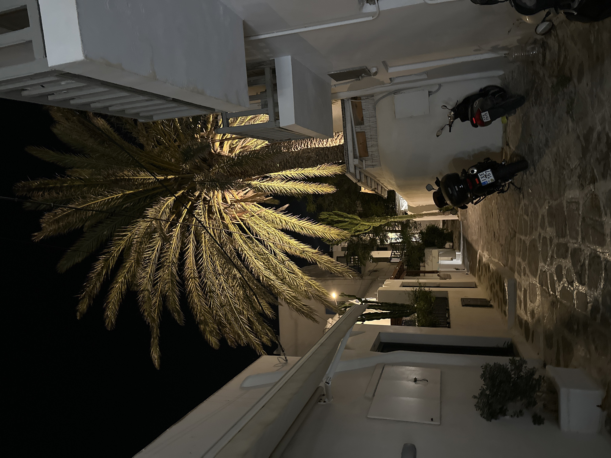 The image depicts a narrow cobblestone alleyway in Mykonos, Greece, at night. The alley is lined with white-washed buildings, characteristic of Cycladic architecture. A large palm tree, illuminated from below, dominates the upper portion of the frame, its fronds casting long shadows. Two motorcycles are parked on the left side of the alley. The overall scene is dimly lit by artificial lights, creating a dramatic contrast between light and shadow.