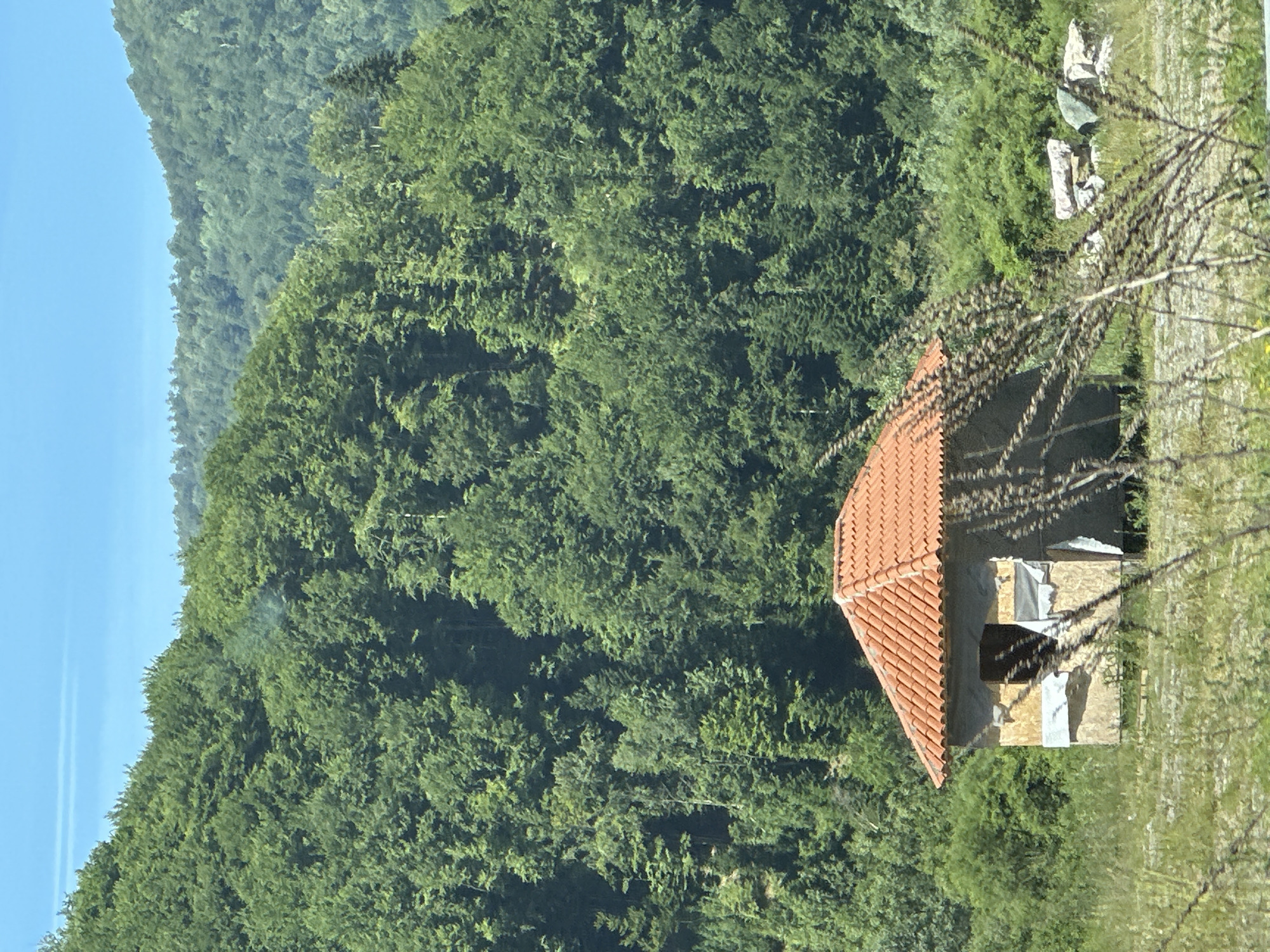 The image depicts a small, unfinished building with an orange tiled roof, situated in a rural area with a dense, green forest covering the background hills. The building appears to be under construction, with exposed plywood walls and some protective sheeting. The foreground shows a grassy field with dry, spiky vegetation in focus, partially obscuring the building. The sky is a clear blue with faint horizontal cloud streaks. The scene suggests a remote, natural environment, likely in the vicinity of Jabuka, Montenegro, given the presence of lush forestation typical of the region. There are no people or animals visible in the image.