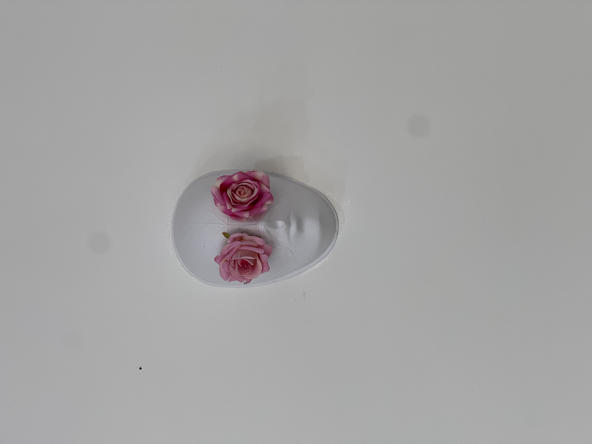 A high-angle shot captures a white, smooth surface with a white, oval-shaped object placed off-center. The object resembles a shallow dish or decorative piece. Two pink roses adorn the object. The background is a uniform white, with a few scattered dark specks and subtle variations in tone. There are no people, actions, interactions, or environmental elements to describe based on the provided image. The location of this image is not discernible.