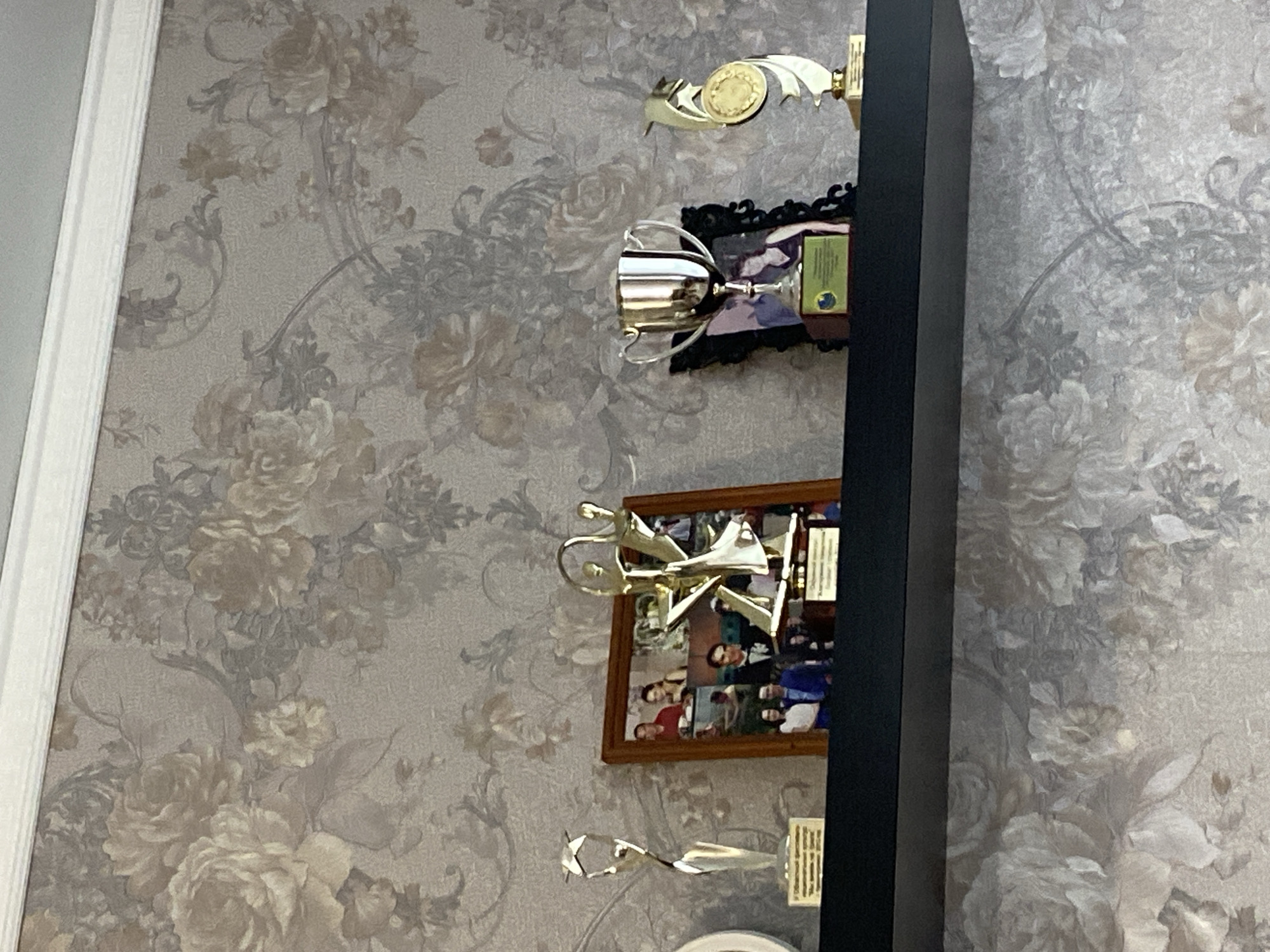 A shelf with awards and framed photographs is mounted on a wall with floral wallpaper. From left to right, the shelf holds a silver abstract trophy with a star on top, a framed collage of photographs, a gold abstract trophy, a silver trophy cup with handles, and a gold trophy with a circular medallion. The photograph collage features several pictures of people in various settings, including formal portraits and outdoor scenes. The trophies appear to be awards for achievements or competitions. The overall setting suggests a display of personal accomplishments or memories.