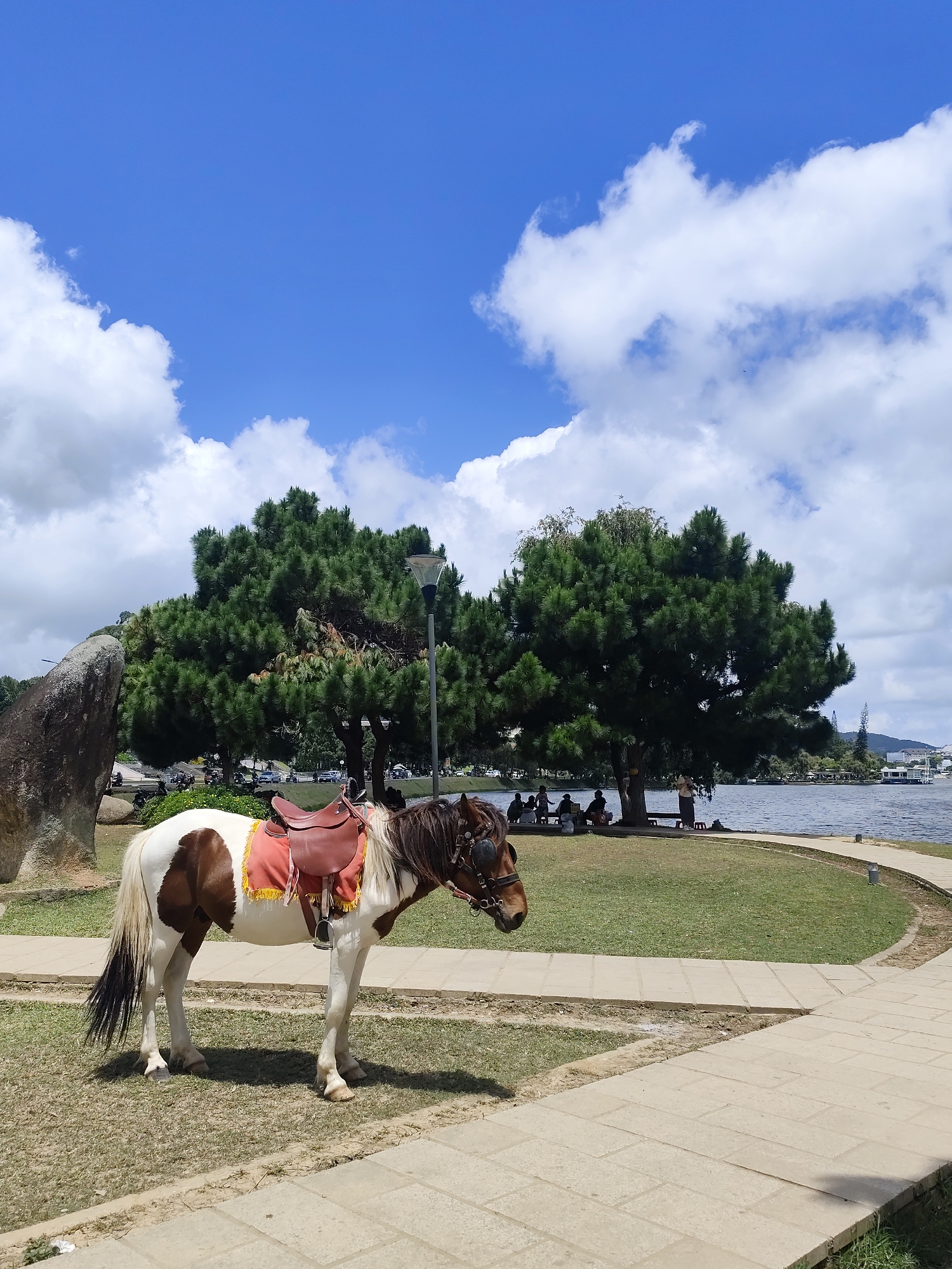 The image captures a picturesque scene at Xuan Huong Lake in Da Lat, Vietnam, on a bright, cloudy day. In the foreground, a brown and white pinto pony stands patiently on a grassy area, equipped with a red saddle blanket and a leather saddle. The pony is facing left, with its head slightly lowered. Behind the pony, a large, dark rock formation is visible on the left.
The middle ground features a lush green lawn dotted with trees, including several tall pine trees that provide shade. A paved pathway curves along the edge of the lawn, bordering Xuan Huong Lake. Several people are scattered on the lawn and along the path, some sitting under the trees, suggesting a relaxed atmosphere. A lamppost is also present near the trees.
The background reveals the calm waters of Xuan Huong Lake, reflecting the blue sky and white clouds. Across the lake, a distant shoreline is visible with some buildings and a white boat or ferry. The sky is a vibrant blue, interspersed with fluffy white clouds, indicating fair weather with some cloud cover. The overall scene conveys a sense of tranquility and natural beauty, typical of Da Lat's popular tourist attractions.