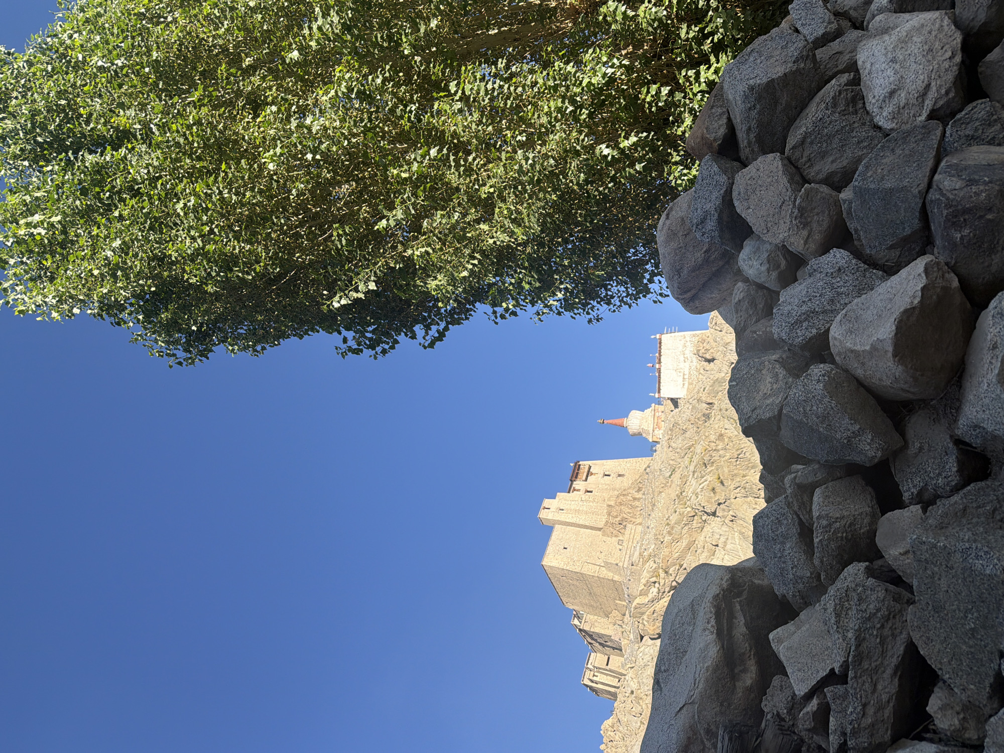 The image captures a low-angle view of the Leh Palace, a historic royal palace in Leh, India. The palace, constructed from stone, is perched on a rocky hillside under a clear blue sky. To the right of the palace, a large tree with green foliage dominates the frame, its branches reaching towards the sky. In the foreground, a pile of large grey rocks creates a natural barrier. A stupa, a Buddhist religious monument, is visible to the right of the main palace structure. The lighting suggests it is daytime, possibly morning or afternoon, with the sun casting shadows on the rocky terrain and highlighting the textures of the palace and the surrounding rocks.