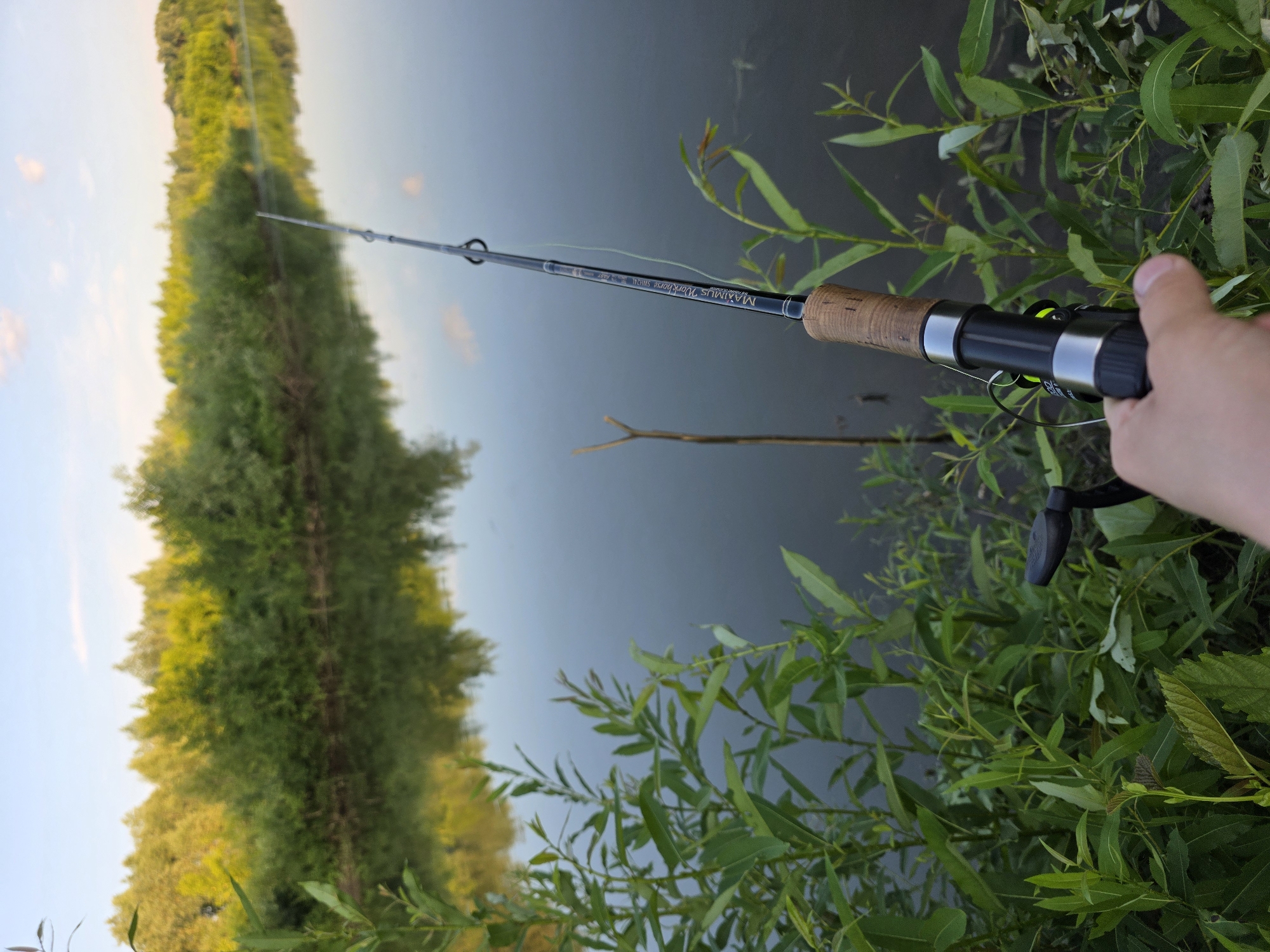 A person's hand grips a fishing rod with a cork handle, extending over lush green foliage and a dark, reflective body of water. The fishing rod is black with silver accents and a visible fishing line. The water's surface mirrors a treeline with abundant green and yellow foliage, and a pale blue sky with scattered clouds. The scene appears to be a natural setting, likely a riverbank, in Togashevo, Russia, during daylight.