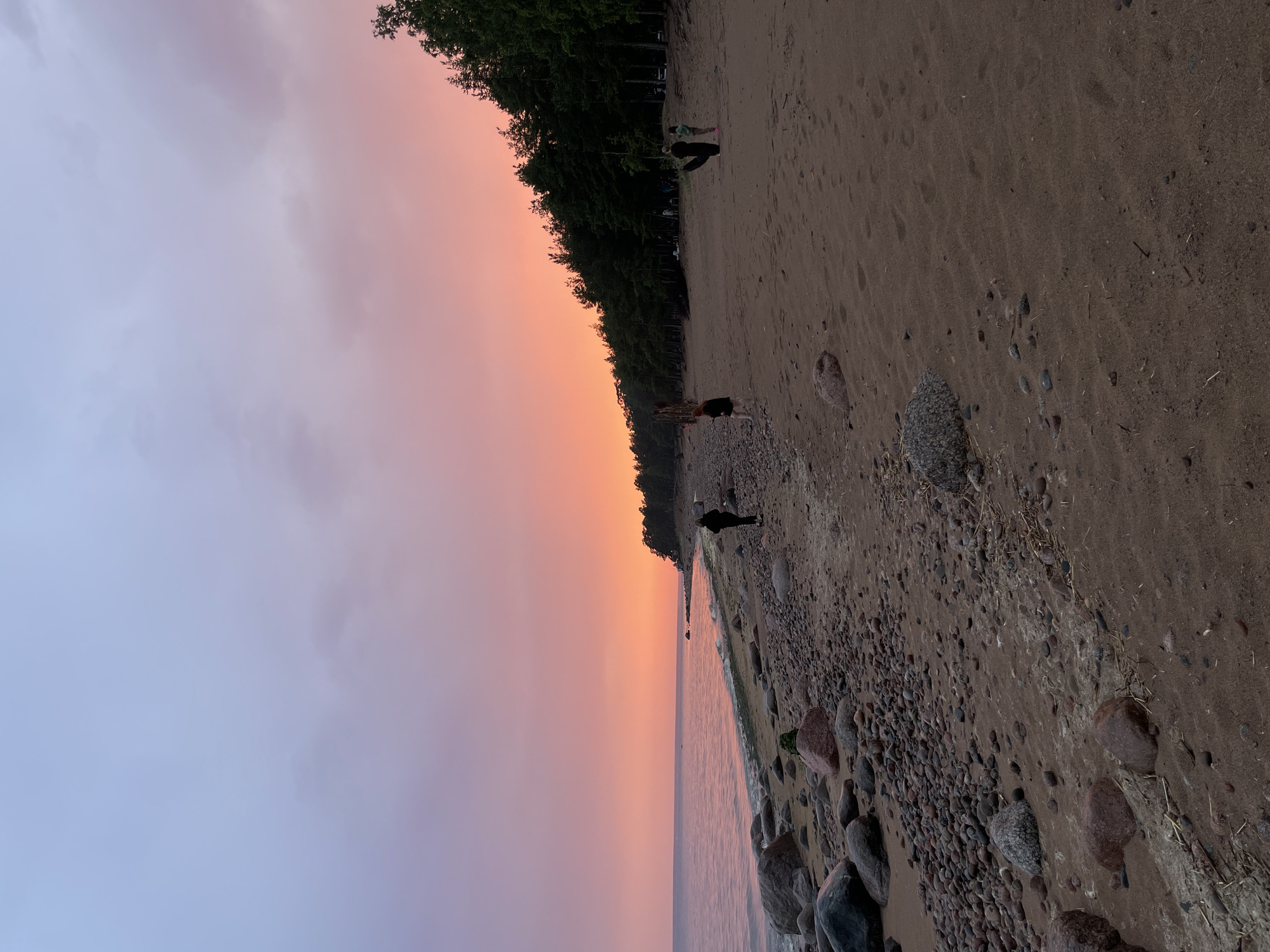 This is a vertical, medium-shot photograph taken at dusk on a beach in Luzhki, Russia. The sky exhibits a gradient of colors, transitioning from a soft lavender at the top to a vibrant orange and pink near the horizon. A line of dark green coniferous trees forms a dense backdrop along the elevated shoreline to the right. The beach itself is composed of sand mixed with numerous stones and rocks of varying sizes, some of which are large and rounded. The water of the sea is calm and reflects the colors of the sky.
Several figures are present on the beach. On the far left, a person in dark clothing walks along the water's edge. Further inland, in the middle ground, two individuals stand near the tree line. To the right of them, another group of people are visible. Among them, two individuals appear to be standing with what could be a surfboard or a large piece of dark material. Footprints are discernible in the sand across the beach, indicating recent activity. The overall atmosphere is serene, capturing the end of a day with the striking colors of a sunset over the Baltic Sea.