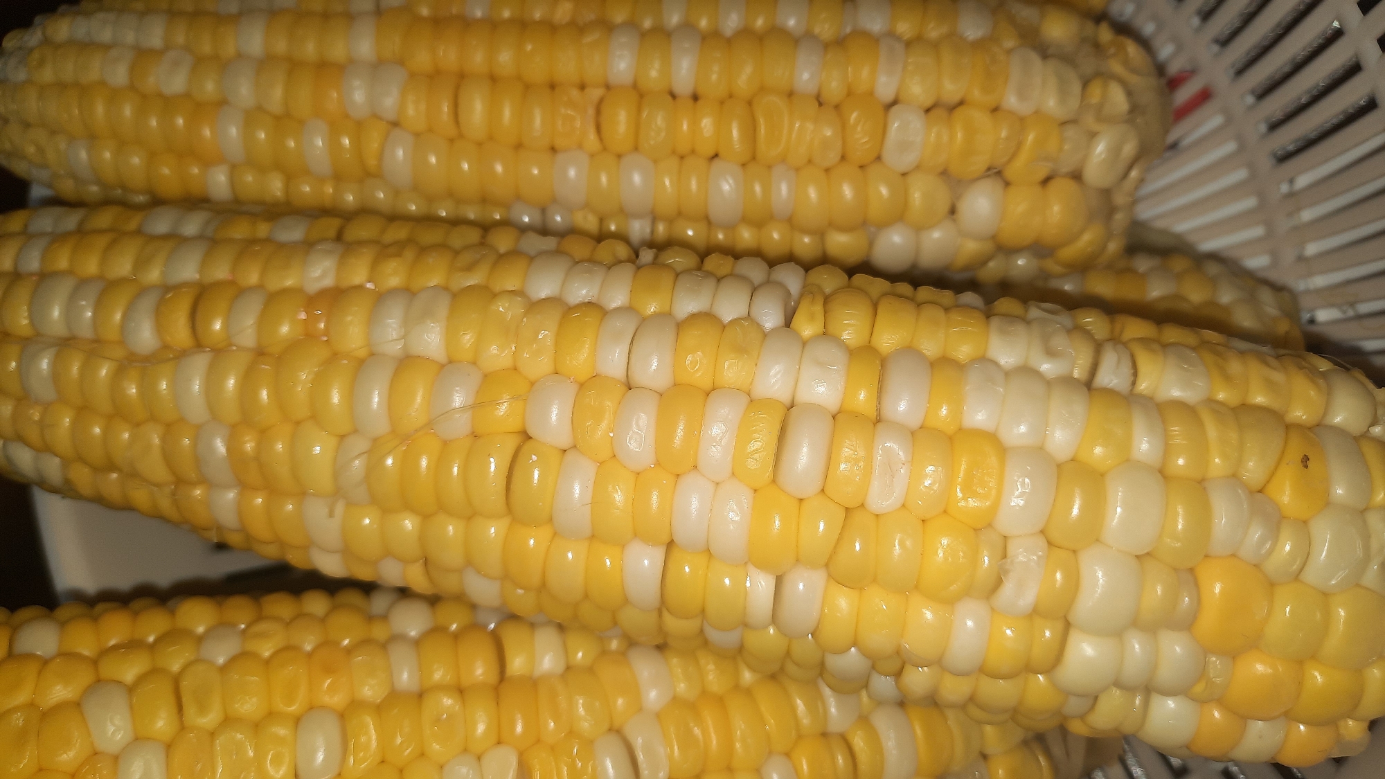 The image shows a close-up view of three ears of corn, two prominently displayed and a third partially visible on the left. The corn is a bicolor variety, with alternating rows of yellow and white kernels. The kernels appear plump and have a glossy sheen, suggesting they are fresh or cooked. The corn is arranged vertically, filling most of the frame. The background is blurred but appears to be a woven texture, possibly a basket or colander, and the overall lighting is warm and somewhat dim. There is no indication of a specific location in the city of Шклоў, Belarus. The image focuses solely on the texture and arrangement of the corn kernels.