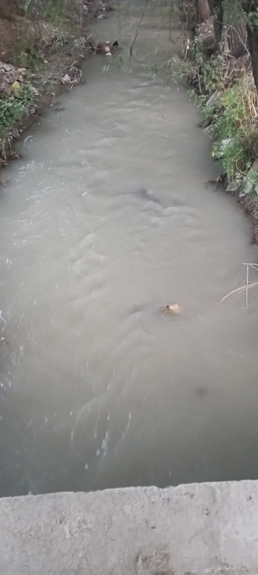 The image shows a muddy, flowing stream in an outdoor environment. The banks of the stream are lined with vegetation and debris, including what appears to be trash. There are trees on the right side of the image. The water itself is murky and exhibits ripples and currents. In the foreground, there is a concrete structure, possibly a bridge or pathway. The scene suggests a natural or semi-natural area within a city, with evidence of human impact through the presence of debris. No people are visible in the image.