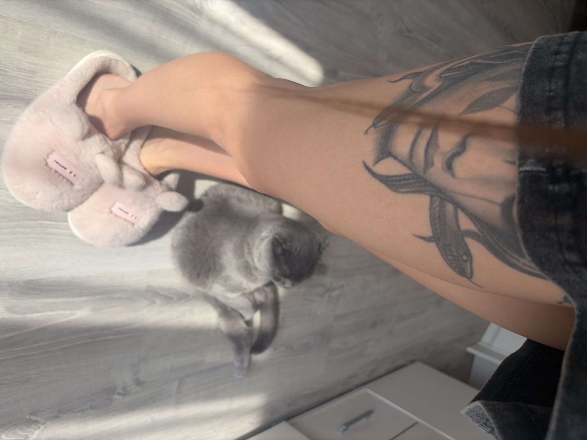 A high-angle shot shows a person's bare legs and feet wearing a pink slipper on one foot. A gray cat sits beside the feet on a light gray wood-look floor. A large tattoo of a snake is visible on the person's leg. A dark denim garment is also visible. The setting is inside a room with sunlight streaming in. A white drawer unit is partly visible in the lower right corner. There is nothing in the image to indicate it is in Saint Petersburg, Russia.