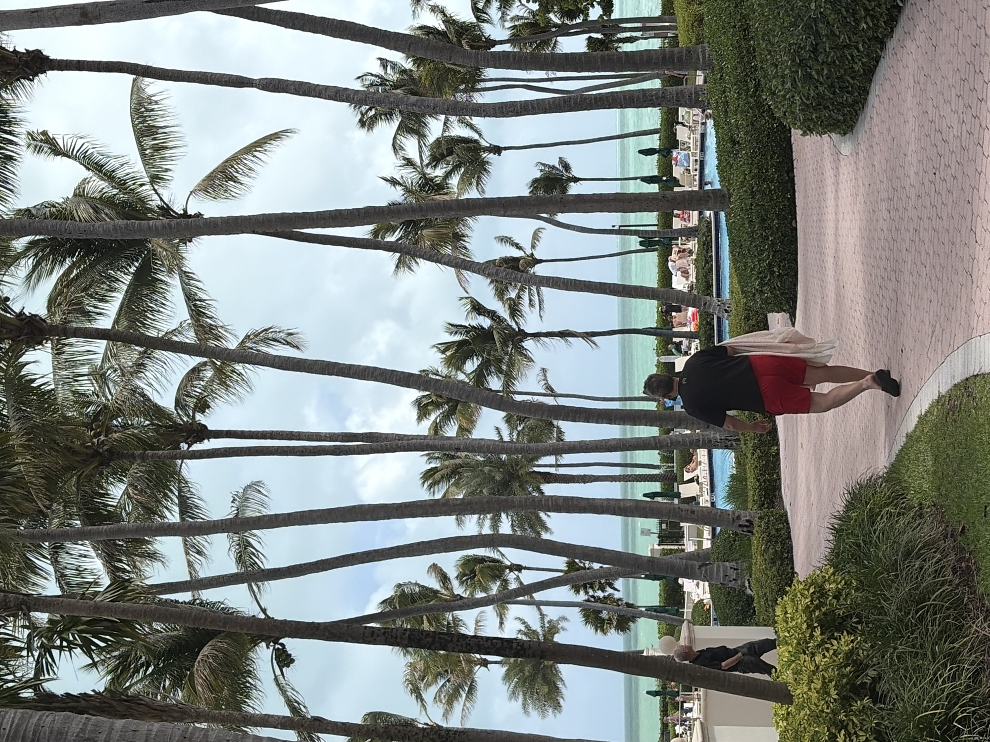 The image shows a sidewalk made of light pink bricks leading toward a body of water under a cloudy sky. Many palm trees line the water. There are people lounging in chairs by the water. A man in red shorts and a black shirt is walking away from the camera along the sidewalk with a white towel draped over his back. Another man is standing along the path as well. The location is Key Biscayne, United States of America.