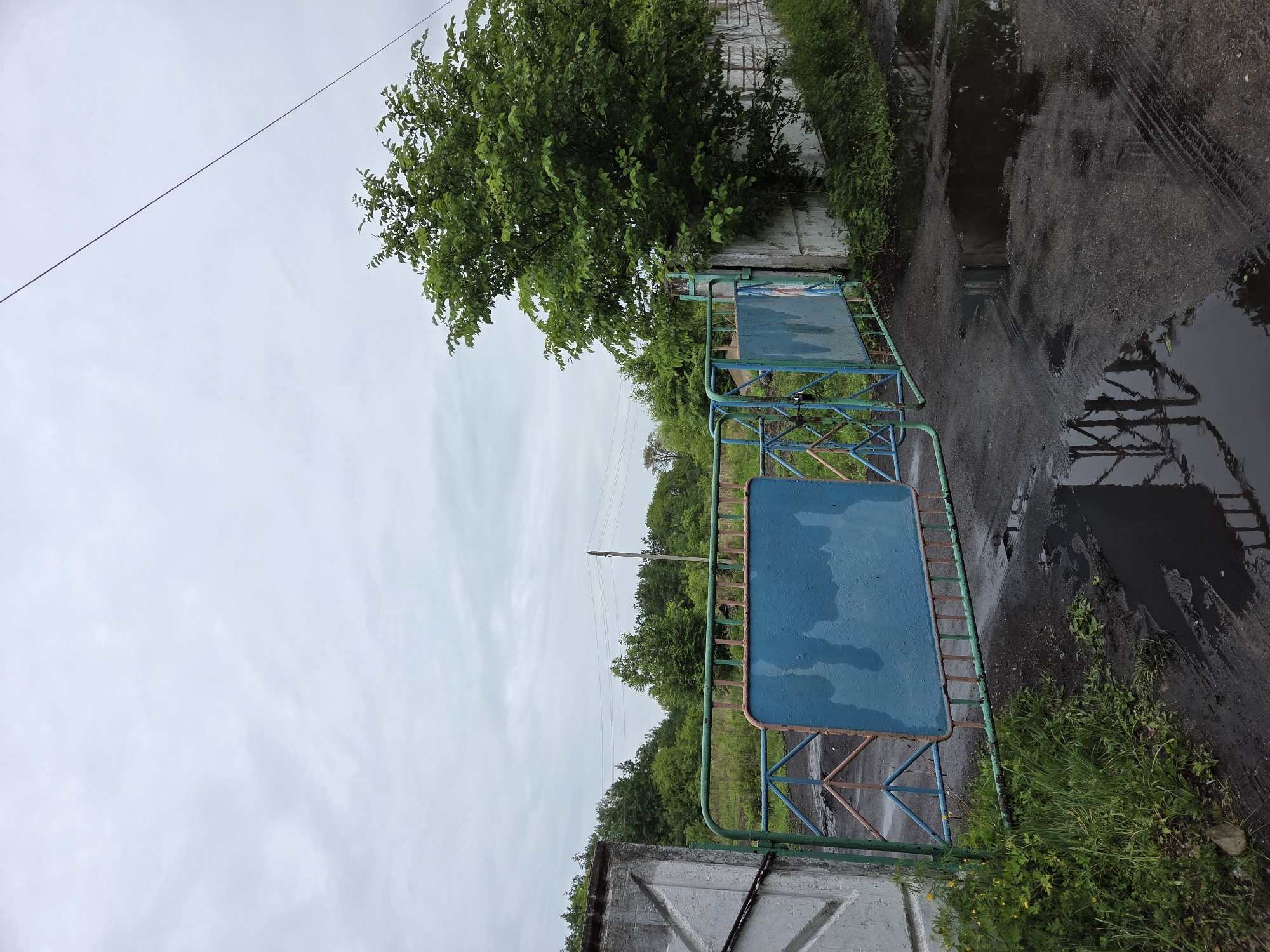 The scene, located in the city of Pronkino, Russia, captures an outdoor environment under an overcast, light grey sky. The foreground consists of a dark, wet dirt or gravel road, featuring several puddles that reflect elements of the gate and sky. Distinct tire tracks are visible on the wet ground to the right. Patches of green grass and weeds grow along the edges of the road, particularly prominent on the left side near a concrete structure.
A two-panel metal gate dominates the midground. Constructed from square tubing, the gate is painted in faded green and light brown/orange, with large rectangular blue panels exhibiting streaks from water runoff. The gate is slightly ajar, with the left panel visibly unlatched. A padlock is discernible on the left gate panel. To the immediate left of the gate stands a weathered concrete post or partial wall, painted in white and grey tones. A similar concrete wall section is partially visible on the right side of the frame, largely obscured by a dense, green deciduous tree that stands next to it.
Beyond the gate, an unkempt area of tall green vegetation and numerous trees extends into the background, indicative of a rural or overgrown landscape. A utility pole is present in the middle-ground background, supporting multiple horizontal power lines. A single power line traverses the upper portion of the frame diagonally from the upper right.
No individuals or active interactions are depicted within the image. The environment suggests a quiet, possibly neglected, outdoor area after a rainfall, likely during late spring or summer given the lush foliage.