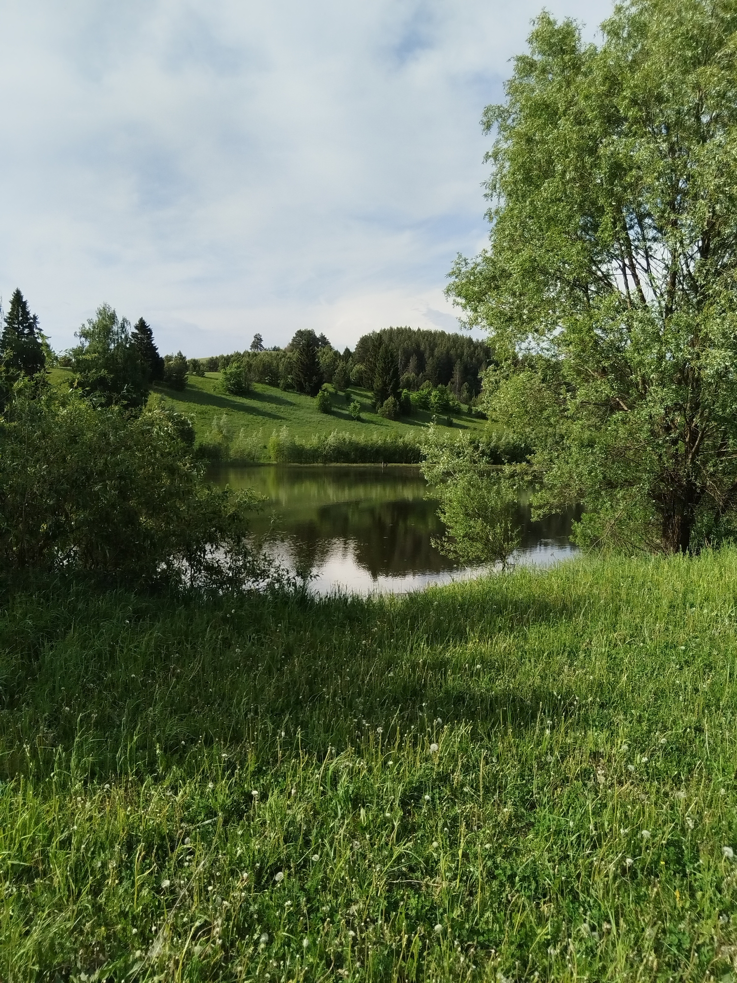 The image shows a tranquil scene of a lake surrounded by lush greenery, possibly in a rural setting. The lake's surface reflects the sky and surrounding trees. The foreground consists of a field of tall grass dotted with white flowers. A tree is prominently placed on the right side of the image, with its foliage filling the upper right portion. On the opposite side of the lake, a gently sloping hillside covered with various trees and shrubs can be seen. The sky is partly cloudy, suggesting a bright, sunny day. The location, Чумна, Russia, cannot be independently verified within the confines of the image. There is no information about the location within the provided information, so any reference to it can only come from assumptions from the user.