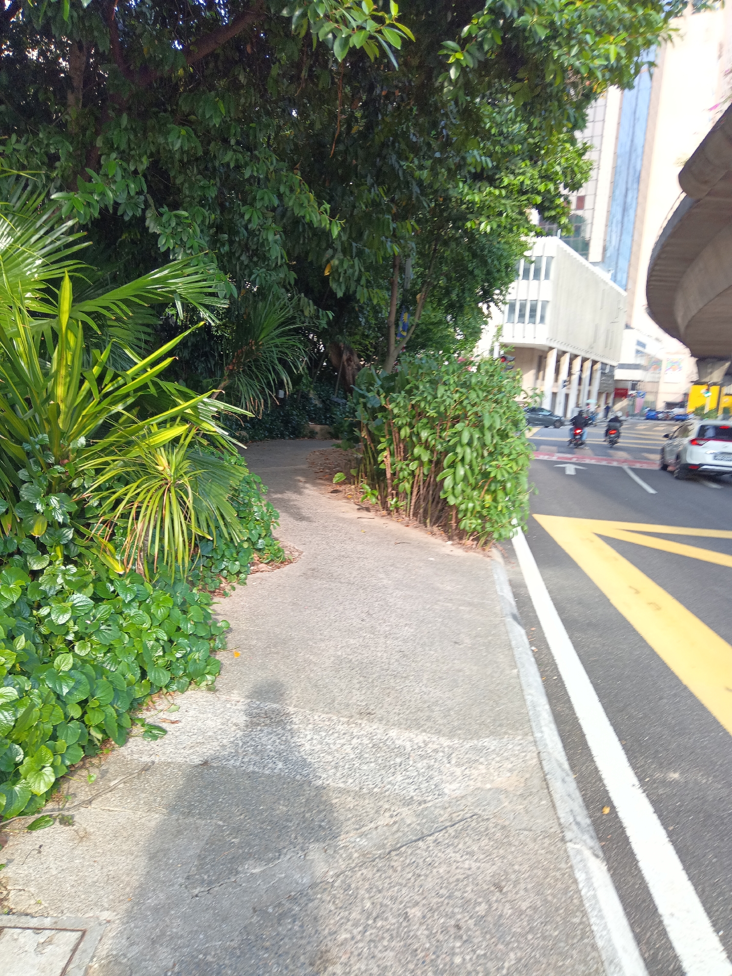 The image depicts a pedestrian walkway alongside a street in Kuala Lumpur, Malaysia. On the left side of the walkway, lush green foliage and palm-like plants are visible, creating a natural barrier. The walkway itself is paved with concrete and shows signs of wear. A shadow of a person is cast on the walkway, indicating their presence off-camera.
To the right of the walkway is a multi-lane road with clear yellow and white lane markings. Several vehicles are present on the road, including motorcycles and a white car. Traffic appears to be moderate. In the background, modern city buildings with glass facades rise above the trees, suggesting an urban environment. An elevated road structure, possibly a highway overpass, is also visible in the upper right portion of the image. The scene suggests a typical urban setting in Kuala Lumpur where nature and city infrastructure coexist.
