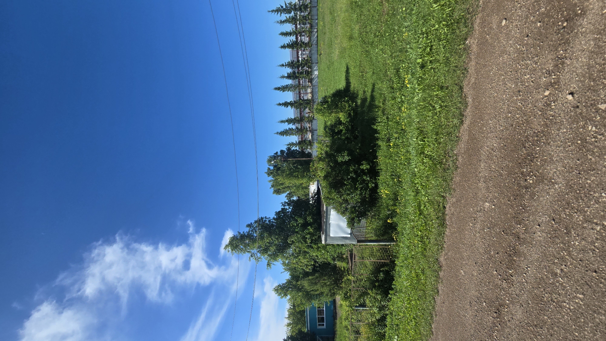 The image depicts a rural or suburban landscape under a clear blue sky with scattered white clouds. In the foreground, a dirt road runs horizontally across the bottom of the frame. Behind the road, a lush green grassy field extends upwards, dotted with small yellow wildflowers. To the left of the field, a small, light blue building with white-trimmed windows is visible, partially obscured by dense green foliage and trees. Adjacent to the building and extending into the middle ground is a metallic, shed-like structure with a silver roof and sides. A rusty metal fence runs along the edge of the property.
Further back, a row of uniform, dark green coniferous trees stands against a backdrop of a long, light-colored building with a sloped roof, possibly an industrial or agricultural facility. Overhead, power lines stretch across the sky. The overall scene suggests a warm, sunny day in a semi-rural area.