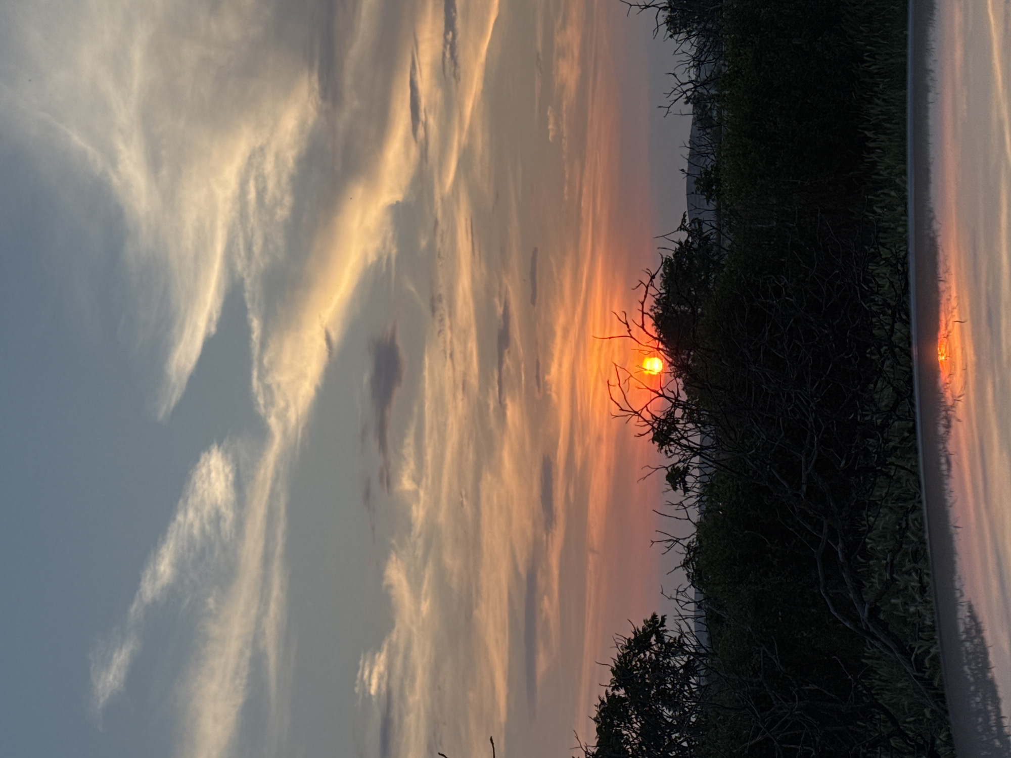 The image depicts a sunset or sunrise over a natural landscape in Belozem, Bulgaria. The sky occupies the upper two-thirds of the frame, transitioning from a pale blue-grey at the top to vibrant orange, red, and yellow hues near the horizon. Wispy, elongated cirrus and altocumulus clouds are distributed across the sky, particularly illuminated by the low light source. The sun, a bright, intense orange-yellow disc, is visible low on the horizon, slightly to the left of the image's vertical center, partially obscured by the foreground vegetation.
The midground and foreground consist of a dense, dark silhouette of trees and shrubs, many exhibiting intricate patterns of bare branches. These dark masses dominate the lower and mid-sections of the landscape, obscuring the terrain directly beneath them. Faint outlines of distant hills or elevated terrain are discernible against the illuminated horizon, beyond the primary layer of vegetation.
The bottom portion of the image, approximately the lower fifth, features a highly reflective, light-colored surface, consistent with the hood or roof of a vehicle. This surface reflects the bright sun and the warm colors of the sky, creating a distorted, rippled reflection. No people, animals, or specific man-made structures are overtly present within the natural landscape, apart from the implied vehicle. The scene conveys a tranquil, natural environment under the dramatic lighting of a low sun.