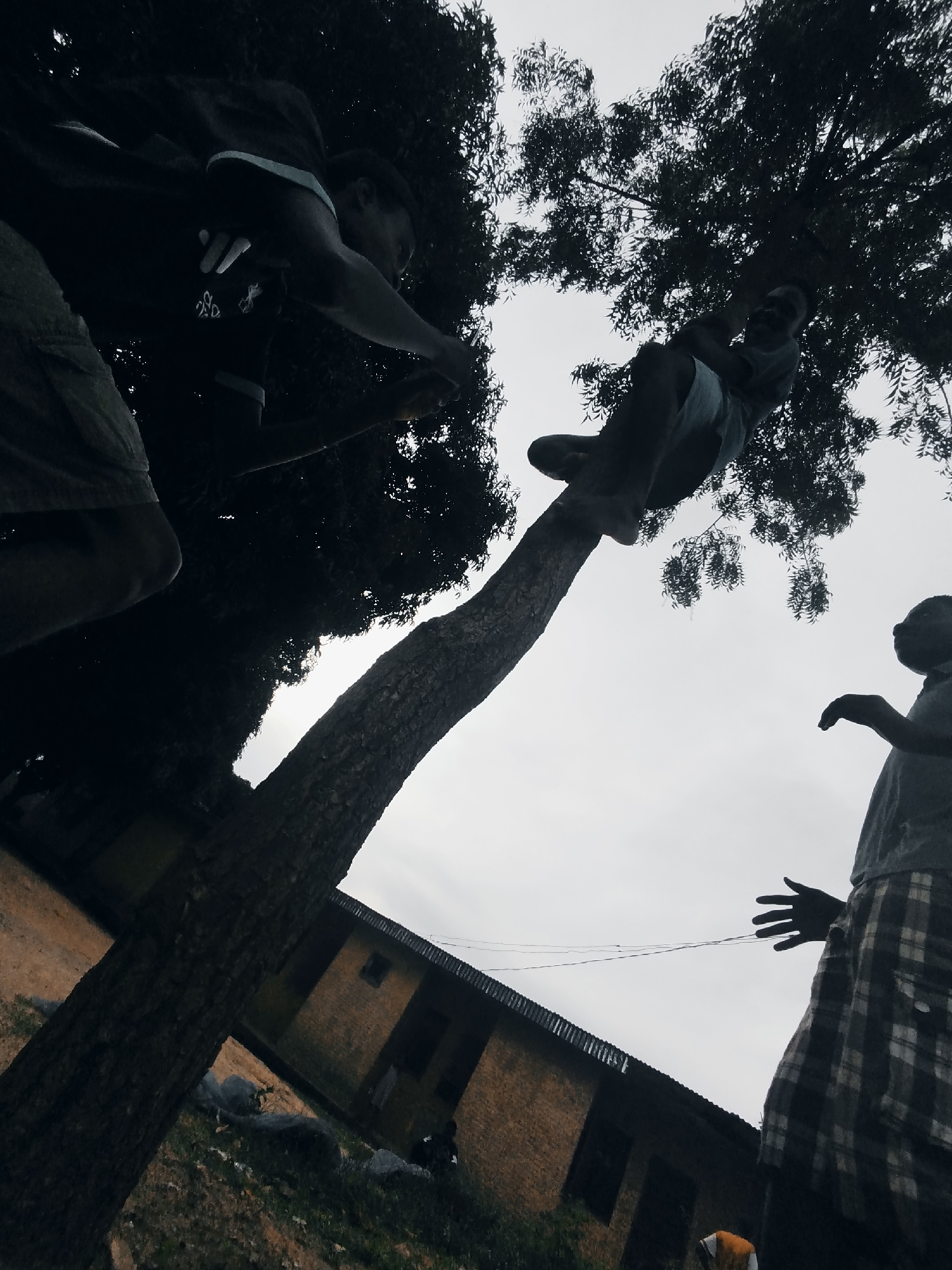 In Narayi, Nigeria, a low-angle shot captures three individuals in a dusky, outdoor setting. In the foreground, a thick tree trunk ascends diagonally from the lower left, its bark textured and dark. To the left, a person is partially visible, leaning out from behind the tree and appearing to hold a stick or object in their outstretched hand. Above and to the right, another individual sits perched on a thick branch of the same tree, looking downwards and possibly interacting with the person below. Further to the right and slightly lower, a third person stands, their arm extended with an open hand as if reaching or signaling. Behind the tree and to the right, a low-slung brick building with a dark roof is visible, suggesting a residential or communal area. The sky is overcast and pale, casting a diffused light over the scene. The ground appears to be dirt and grass, with some scattered debris. The image has a dark, silhouetted quality due to the lighting conditions and the angle of the photograph.