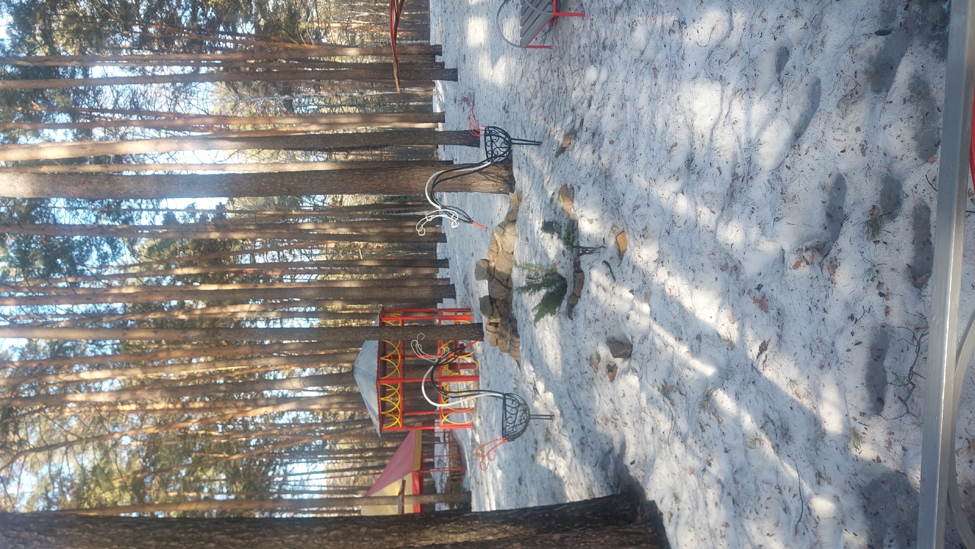 The image depicts a snowy, wooded area in Novosibirsk, Russia. Tall, thin trees line the left side of the frame, casting long shadows across the snow-covered ground. In the distance, a colorful gazebo with a red roof and yellow and red accents is visible. Several metal bird sculptures are interspersed among the trees and snow. Footprints are evident in the snow, indicating recent human activity. The overall scene suggests a park or recreational area during winter.