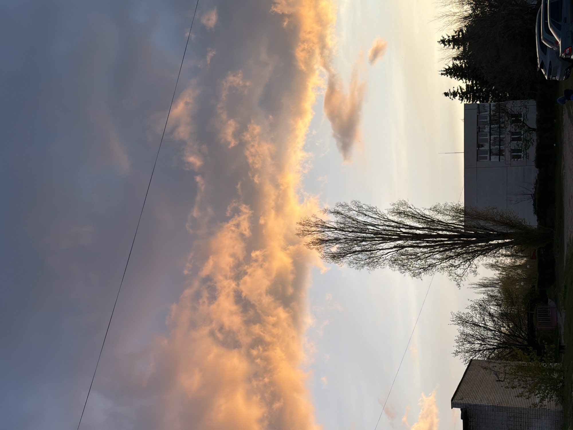 The image depicts a sky with clouds ranging from dark gray to orange-lit formations, possibly at sunset or sunrise. A power line stretches diagonally across the left side. In the foreground, there are buildings and trees typical of a residential area. A tall, bare tree stands prominently, with buildings and evergreen trees in the background. Several cars are parked near the edge of the scene. The photo is taken in Kamyshin, Russia.