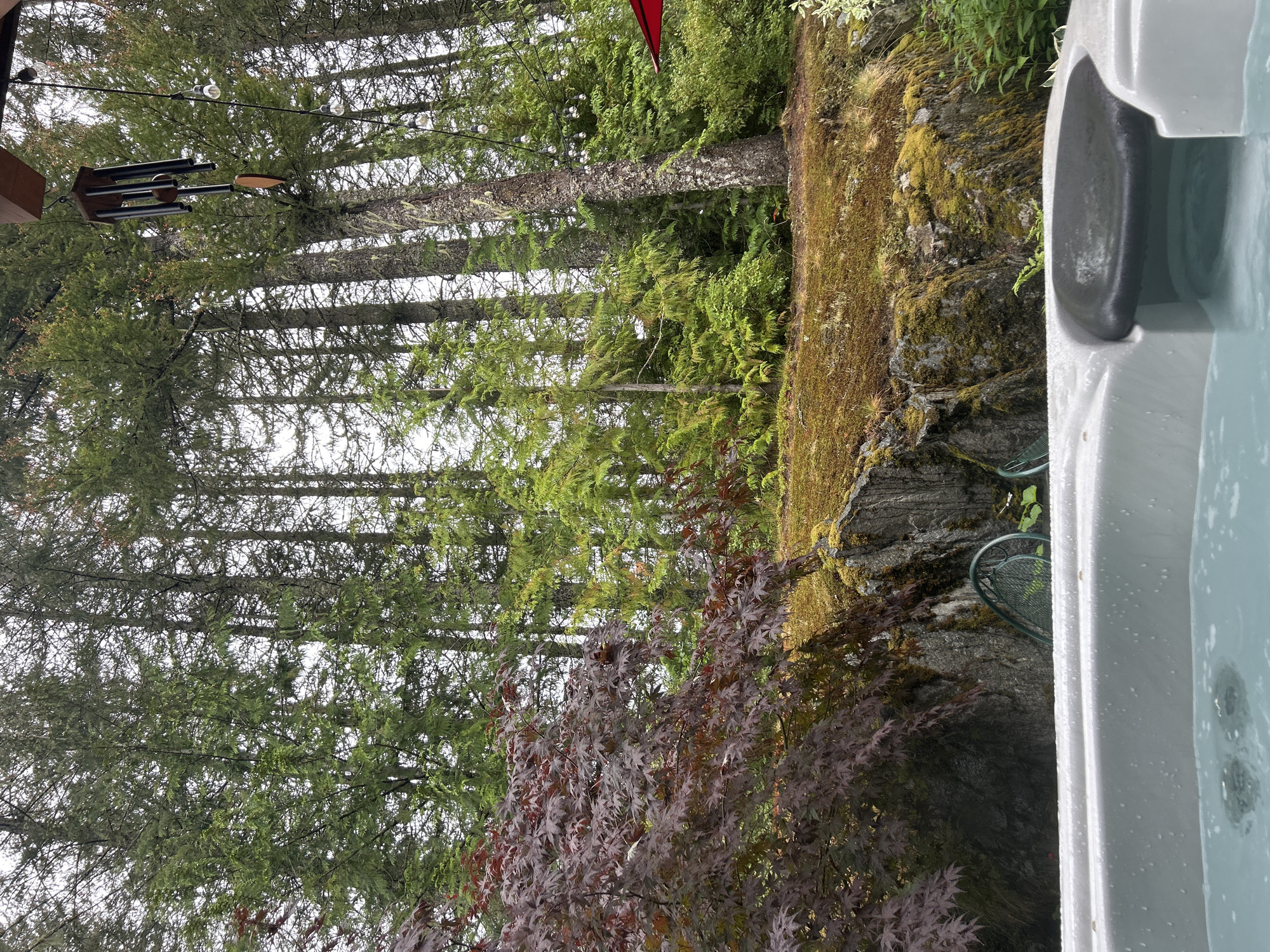 The image depicts an outdoor hot tub in the foreground, filled with light blue, rippling water. The tub's white exterior shows droplets of water. Behind the hot tub, a rocky, moss-covered embankment rises, topped by a dense forest of tall evergreen trees. A dark red Japanese maple tree is visible on the left side of the frame, its leaves contrasting with the surrounding green foliage. A wind chime hangs from an overhead structure on the right, with string lights also visible. The overall setting suggests a natural, possibly wooded, environment. The location is identified as Whistler, Canada.