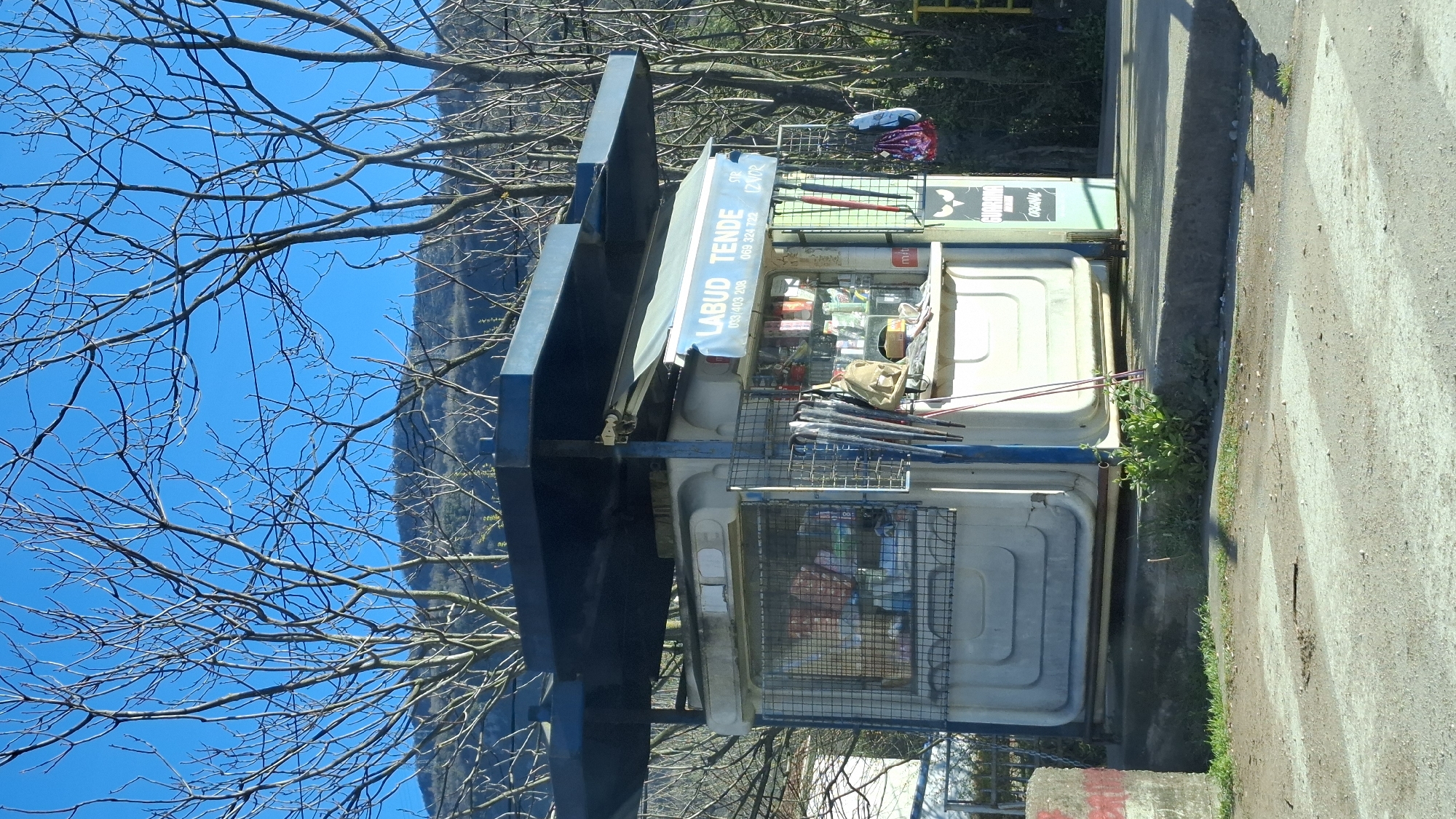 The image displays a weathered, light-colored retail kiosk with blue structural elements and a flat, dark blue overhead canopy, situated adjacent to a road with a visible pedestrian crosswalk in Budva, Montenegro. A blue awning on the kiosk's front features the text "LABUD TENDE" and contact numbers "033/403 208," "069 324 722," and "STR IZVOR." Through a metal-grated window on the left, various packaged goods are discernible. The open service window on the right exhibits an array of merchandise, including what appear to be magazines or newspapers. Several umbrellas of varying colors (black, blue, red) are propped against the kiosk's right exterior, from which a tan backpack and multiple colorful bags are suspended. A "GUARANA ORIGINAL" advertisement is affixed to the far right side of the kiosk. The foreground features a worn zebra crossing on an asphalt surface, transitioning to a concrete curb and sparse green vegetation surrounding the kiosk's base. The background is dominated by numerous bare-branched deciduous trees, indicative of winter or early spring, beneath a clear, bright blue sky. A distant, lightly forested mountain range is visible above the tree line. A concrete block with a red marking is partially visible on the far left. No individuals are present in the scene, which is illuminated by direct sunlight.