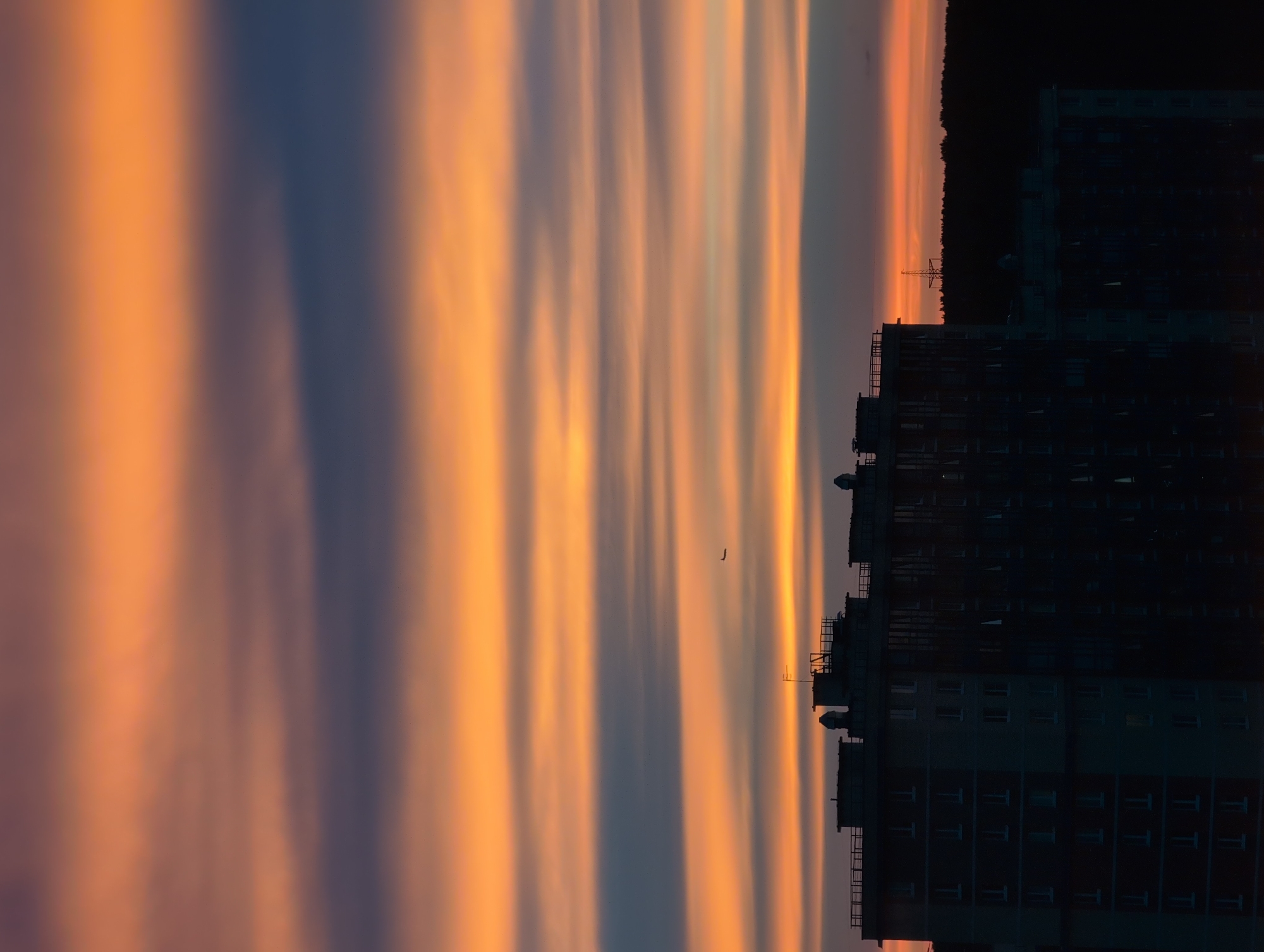 A vertical, eye-level, medium shot captures a sunset over a cityscape. The sky is filled with horizontal bands of orange, yellow, and purple clouds. A small airplane is visible in the upper center of the frame. Silhouetted against the colorful sky are the tops of several apartment buildings and a line of trees in the distance. The buildings appear to be part of a modern residential complex, characterized by their blocky architecture and multiple windows. The overall impression is one of a peaceful evening in an urban environment. The image does not provide any specific clues about the city of Saint Petersburg, Russia, other than its designation as a cityscape. There are no people visible in the image.
