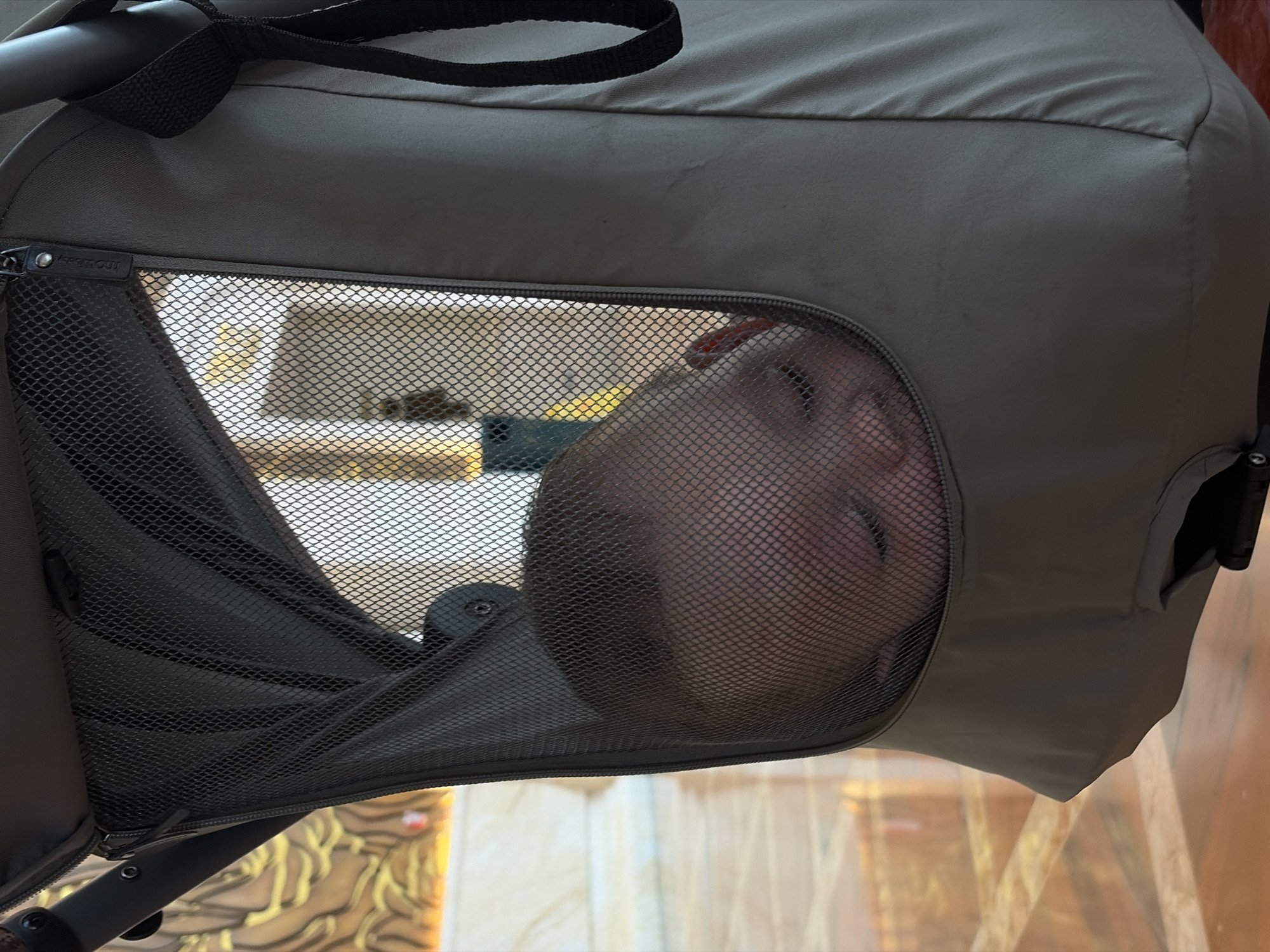 A close-up shot depicts a child's face pressed against the mesh window of a stroller. The stroller is made of a dark gray fabric with black straps. The window is positioned on the side of the stroller's hood. The child's face is partially obscured by the mesh. The background is blurry and indistinct. The location cannot be determined from the image.