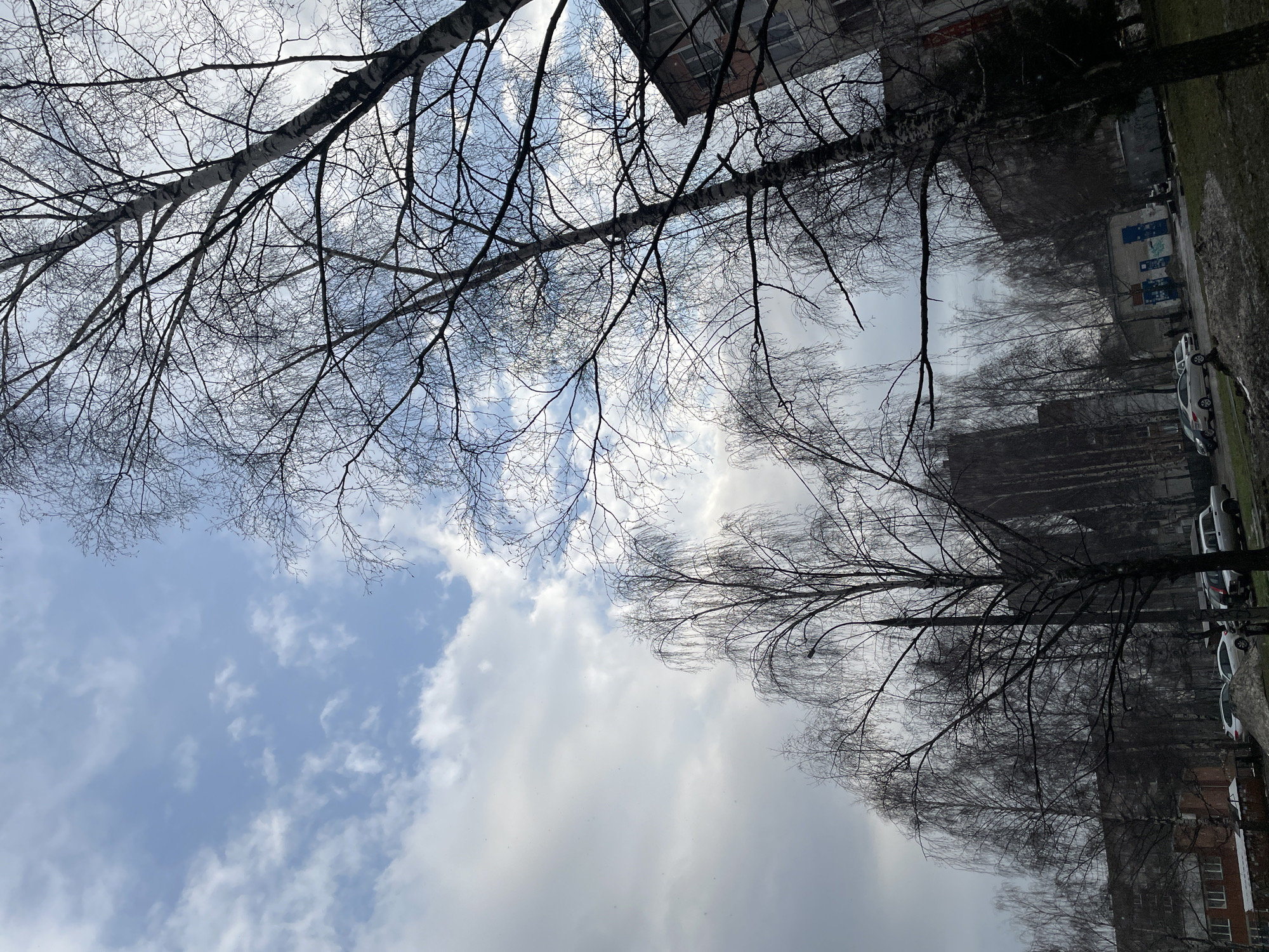 The image shows a view looking up at the sky through bare tree branches. Some branches have the distinctive white bark of birch trees. The sky is partly cloudy with blue patches. In the background, there are buildings, including residential structures, and parked cars, suggesting a city location. The location is identified as Izhevsk, Russia. No people are visible in the frame. The scene appears to be taken during late autumn or winter, given the lack of foliage.