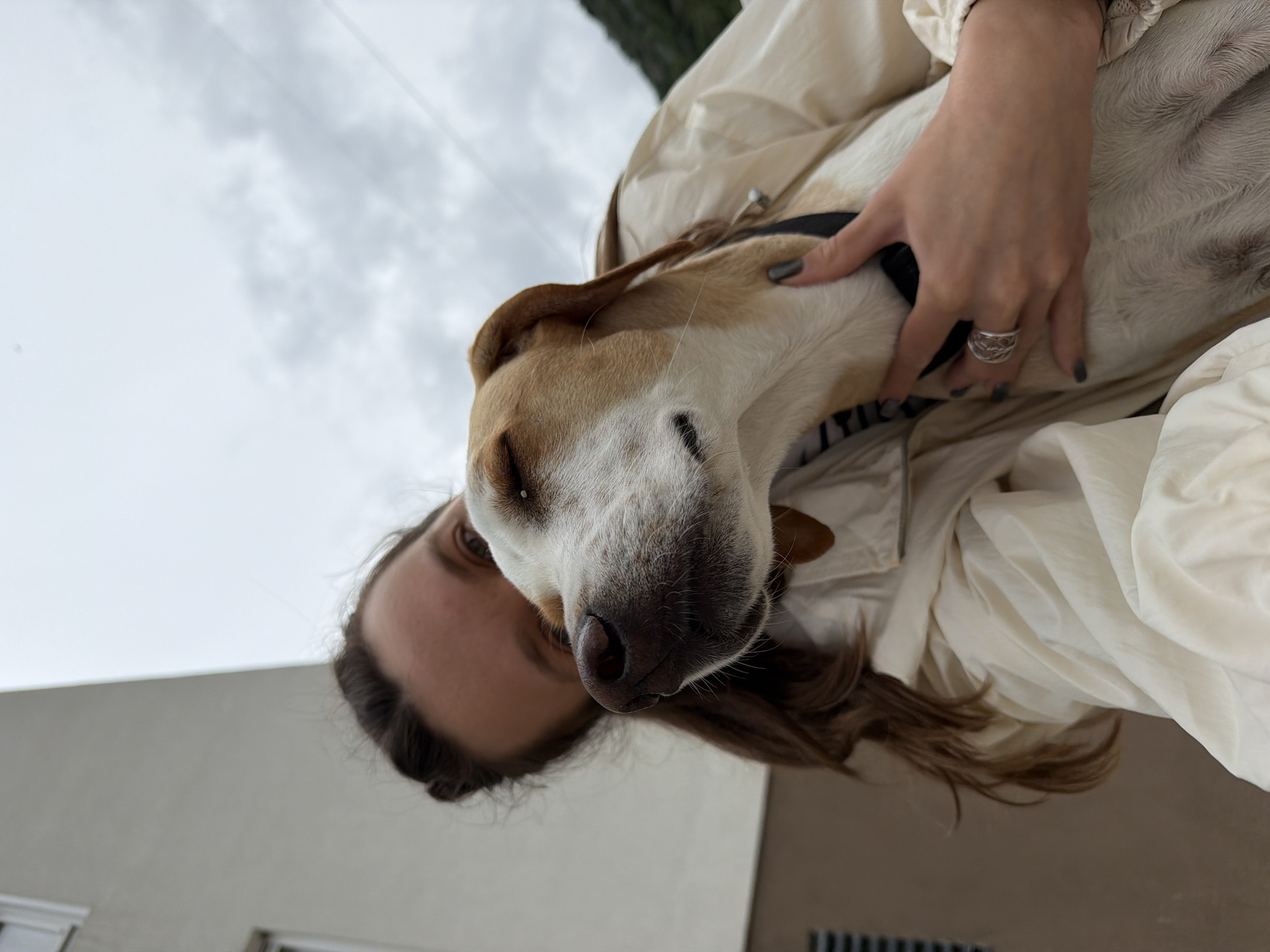 A low-angle shot shows a woman embracing a dog against a cloudy sky. The woman's face is partially visible on the left. She has brown hair and her skin appears fair. Her hand rests on the dog's neck, displaying a silver ring and gray nail polish. The dog is mostly white with tan markings on its head and ears, wearing a black collar. The woman is wearing a light-colored jacket. The background includes a building with windows and a cloudy sky.
The location cannot be determined from the image alone. There is no data to suggest the location is Budva, Montenegro.