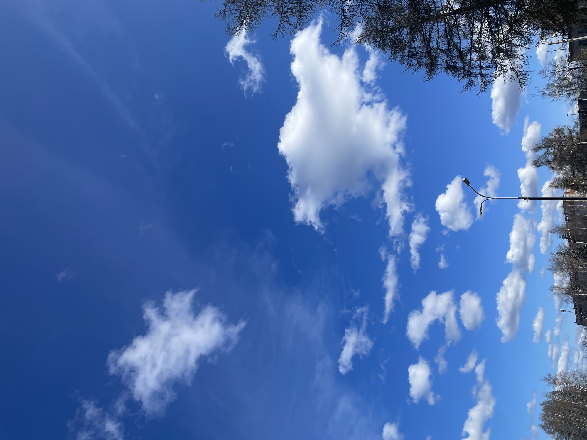 The image shows a clear blue sky with scattered cumulus clouds, taken in the city of Chaikovsky, Russia. Tree branches are visible at the top of the frame, and a row of bare trees, along with a streetlight, can be seen on the right side. A building is partially visible behind the trees on the right.