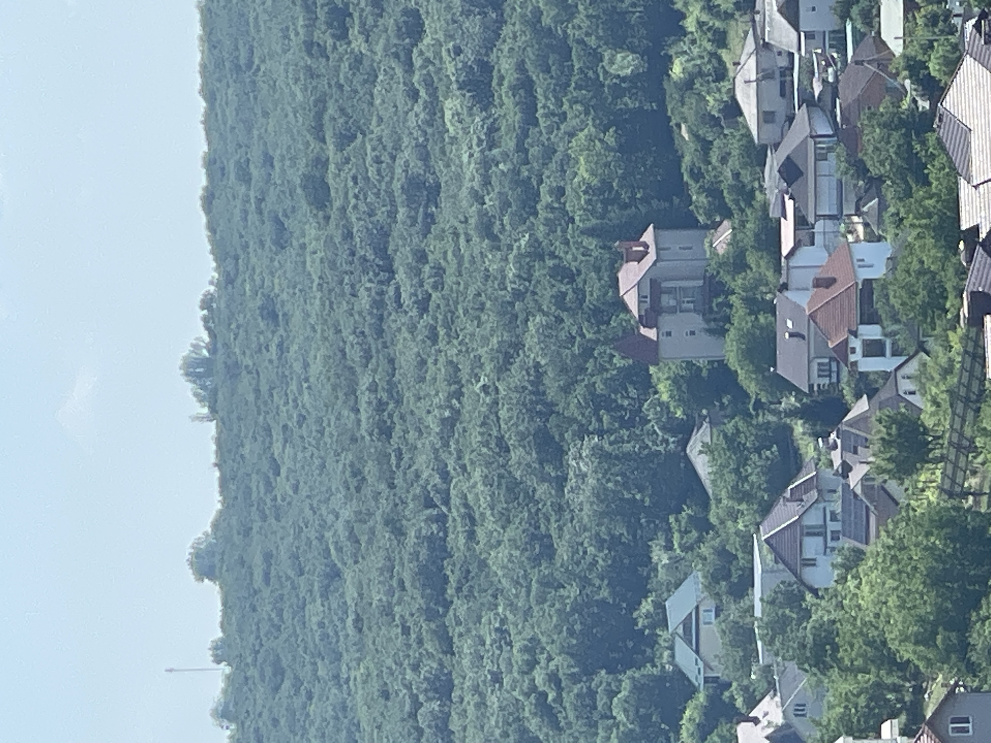 The image shows a view of a densely forested hillside with a small village nestled at its base. The sky above is a pale blue with a few wispy clouds. In the foreground, various houses with pitched roofs are visible, surrounded by lush green trees. A larger, distinctive building with a red turret stands out on the hillside among the trees. The overall impression is one of a quiet, rural setting.