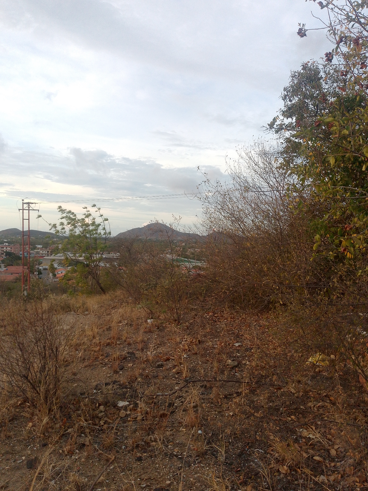 The image depicts a hillside overlooking a section of Juan Griego, Venezuela. In the background, there is a mountain range partially obscured by a cloudy sky. A power line and utility pole are visible to the left of the frame, amidst buildings with red roofs suggesting residential areas. The foreground features a dry, overgrown terrain with sparse vegetation, including shrubs and dried grass. The ground is littered with rocks and dead leaves. The overall scene suggests a vantage point on a hillside overlooking a developing area within the city.