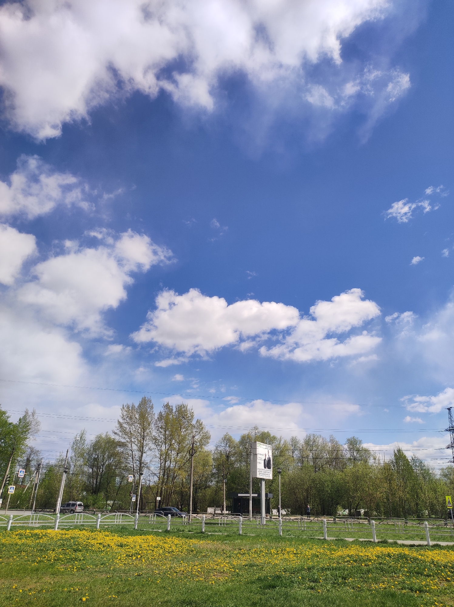 The image depicts a cityscape under a bright blue sky filled with puffy white clouds. The foreground consists of a field of green grass speckled with yellow dandelions. A white metal fence runs parallel to the road. Beyond the fence, there is a road with cars. Behind the road is a line of trees with fresh spring foliage. A large billboard is visible amongst the trees. Electrical power lines stretch across the scene. The photograph was taken in the city of Chaikovsky, Russia.