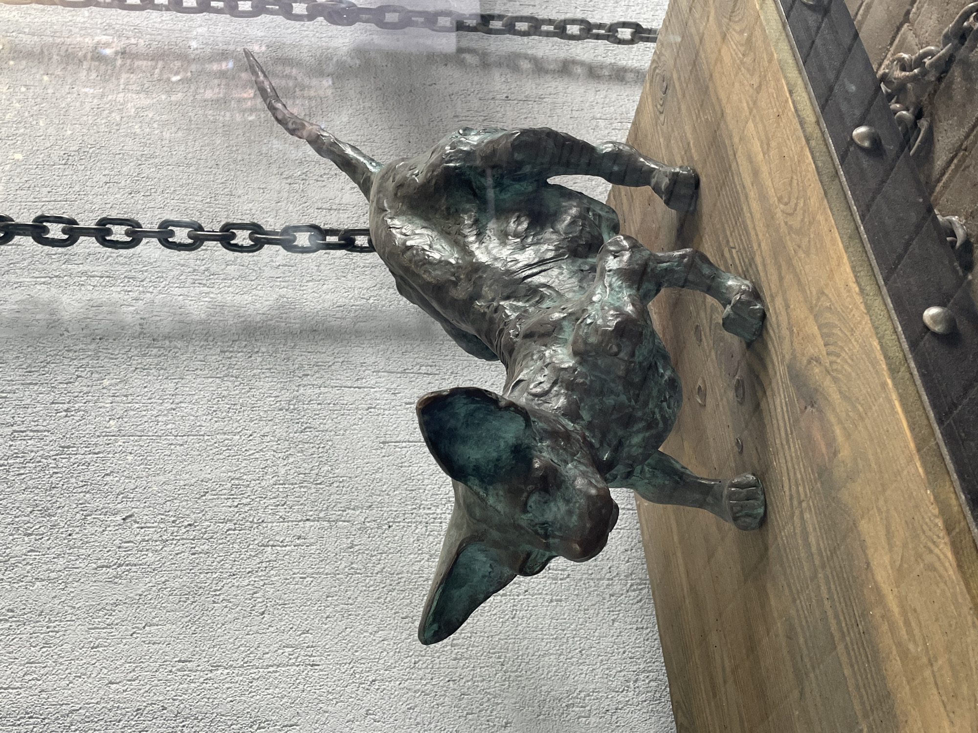 A bronze sculpture of a dachshund is affixed to a wooden door or wall in Saint Petersburg, Russia. The dog appears to be climbing or clinging to the surface. A heavy chain runs across the top portion of the image and along the left side. The background shows a textured, light-colored wall. The door or wall to which the sculpture is attached appears to be aged and slightly weathered. The sculpture itself displays a green patina, characteristic of aged bronze. Metal studs or rivets can be seen along the edge of the wooden surface. The dog's tail is raised and its head is turned downwards.