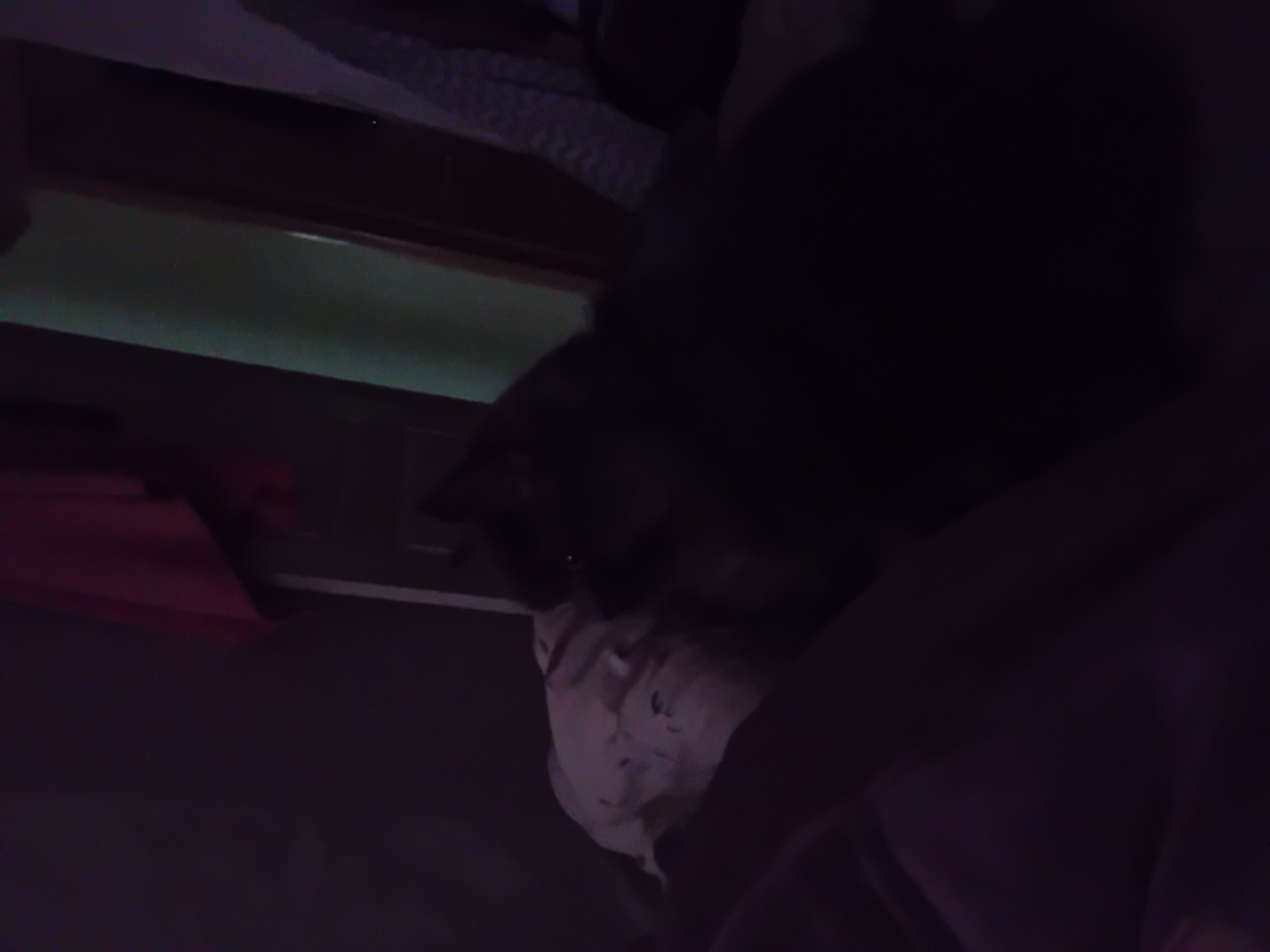 A dimly lit indoor scene features a dark-colored cat lying on a patterned pillow on a bed. The cat's face is partially obscured by shadows, but its eyes are visible. To the left of the cat, a person's arm and leg are visible, suggesting they are lying in bed with the cat. In the background, a red garment hangs from a rod. To the right, a tall, vertical object, possibly a door frame or a piece of furniture, is visible, with a light green surface to its left. The overall lighting is low, creating deep shadows. The image does not contain any contextual information to determine its location in Chuhuiv, Ukraine.