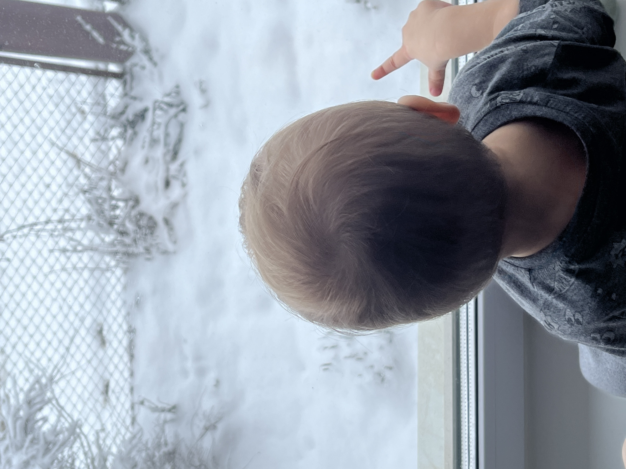 A child with blond hair is looking out a window at a snow-covered scene. The child is wearing a gray shirt and pointing with their right hand. Outside, a chain-link fence is visible in front of a blanket of snow covering the ground and vegetation. The location is likely in Фоки, Russia.