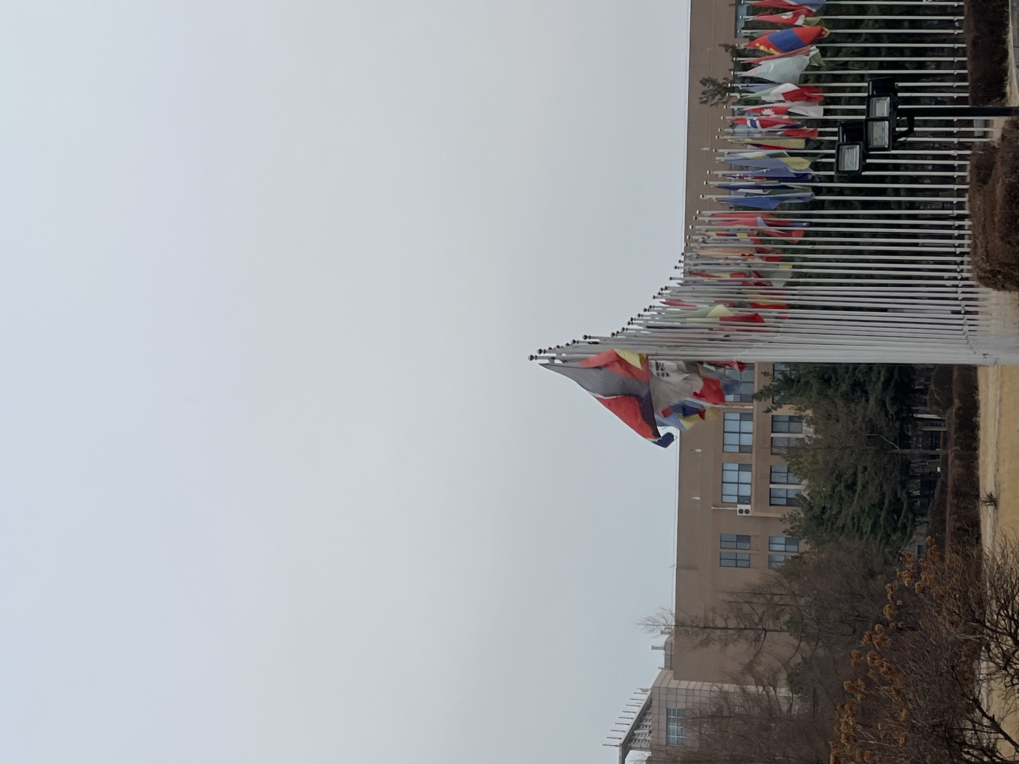 The image shows a collection of flags on poles in front of a building. The flags are likely international flags, based on their varied designs. The poles are arranged in a row. The building behind the flags is multi-story, with a light-colored facade and multiple windows. Some trees and bushes are also visible near the building. The sky is overcast. The scene is in Changchun City, China.