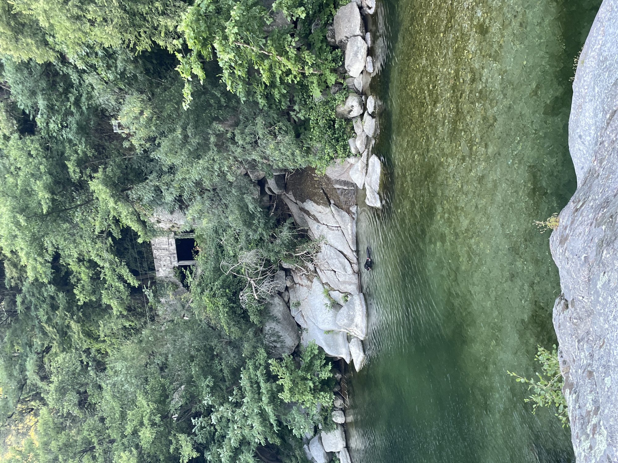 A black dog swims in a clear, green body of water. The dog is in the middle ground of the image. The water is bordered by large, grey rocks and lush green trees and foliage cover the steep bank behind the rocks. A small waterfall is visible cascading over rocks in the background. Further up the bank, nestled within the trees, is a dark opening, likely an abandoned structure or cave entrance. The scene appears to be a natural outdoor setting.